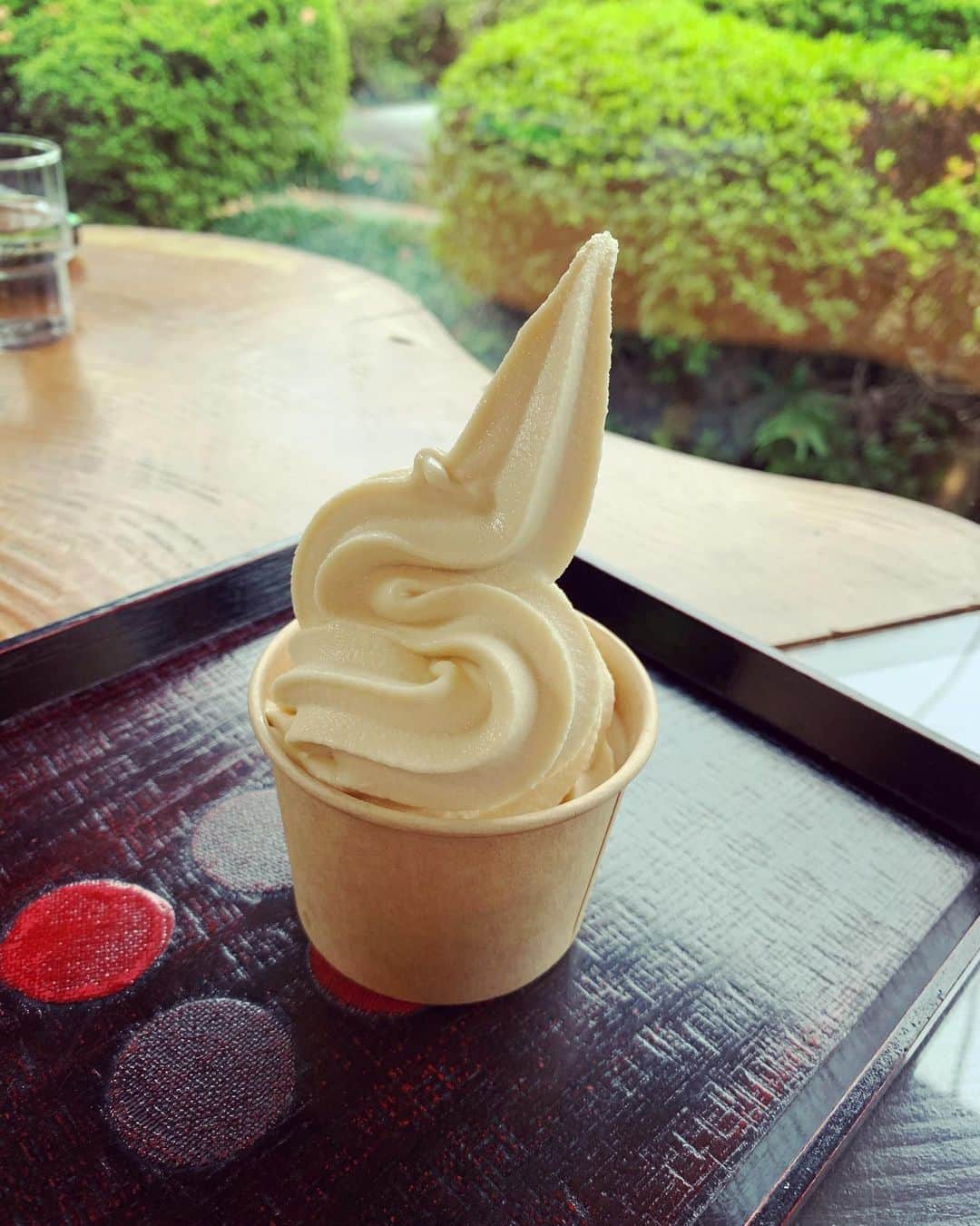 砂賀美希さんのインスタグラム写真 - (砂賀美希Instagram)「都内の我が家の近所で #自然食品 を取り扱う馴染みの店主が ここのお味噌と豆腐が1番オススメ！と太鼓判を押していたお店が 実家から車でなんと30分という😂👍 @yamakijozo   #有機大豆 を製造加工しているところで 我が家は味噌以外にお醤油も豆腐もこちらのものが多いです✨  3時頃に行ったので売切が多い中いただいた #お味噌汁 と #有機豆腐 #味噌ソフトクリーム がすごかった。 どれもお豆の雑味なくトロンと柔らかくて後からふわっと甘味。 いくらでも入ってしまいそうだった…😌 豆類は輸入物がほとんどなので #国産大豆 #有機 なことはかなり貴重かと。  #里帰り 中にまた来られるかなぁ…  お店の方ともお話しできて #有機認証 をとっていないものも同じラインで作っていることを知った ここでしか聞けない話。 販売していた #水 も美味しくて甘かった。  自然には抗えない、逆らってはいけない やっぱり水が全て。 シンガポールと香港にいたときに強く感じていたこと…  山あいの長閑な自然の中で心身共にデトックスさせてもらいました☺️ ・ ・ #オーガニック #特別栽培  #工場見学  #ビーガン #ビーガンスイーツ #グルテンフリー生活 #おすすめカフェ #妊娠後期 #マタニティ #ママリ #ママモデル #子育てぐらむ #臨月 #甘酒  #飲む点滴 #お守り #ヤマキ醸造 #発酵食品 #腸活 #菌活」10月22日 9時22分 - kimiganasu