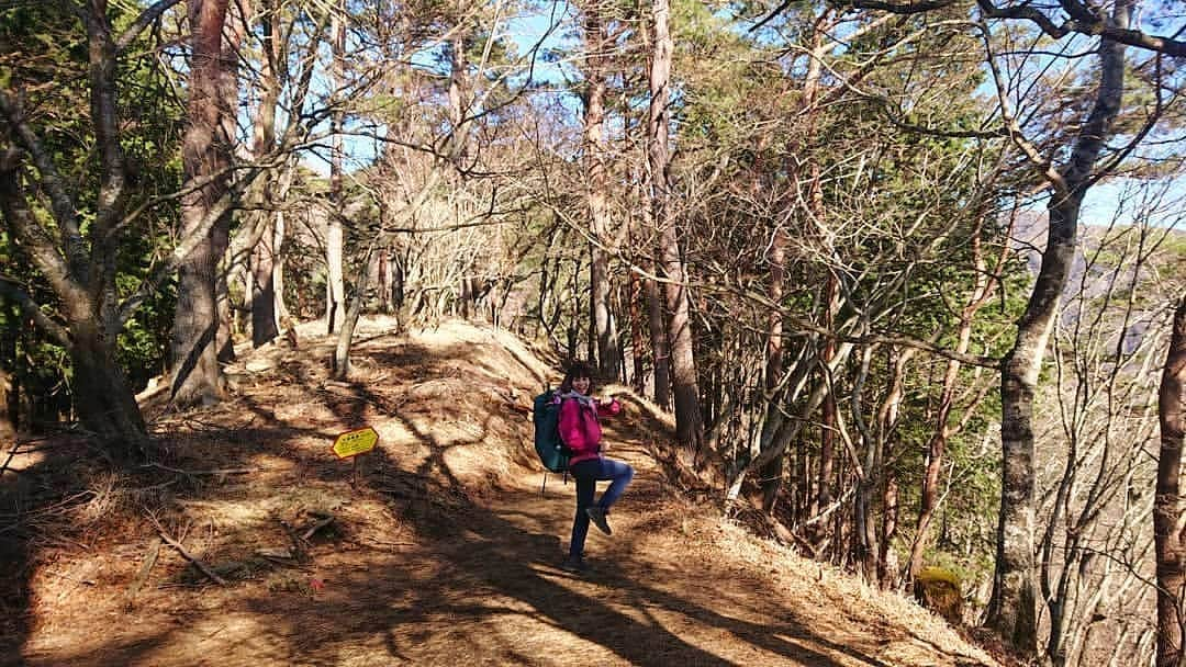 桜花さんのインスタグラム写真 - (桜花Instagram)「おはようございマウンテン🗻🌷   本日もナイスな１日にいたしましょ✨  これは年始の塔ノ岳🌷 塔ノ岳も大好きな山です🗻🍀  YouTube新しい動画アップしました✨23区内最高峰の山です✨ ぜひみてください🌷  #おはようございマウンテン #塔ノ岳  #ナイスな１日を  #haveagoodday  #goodmorning  #morning」10月22日 9時23分 - mountainohka