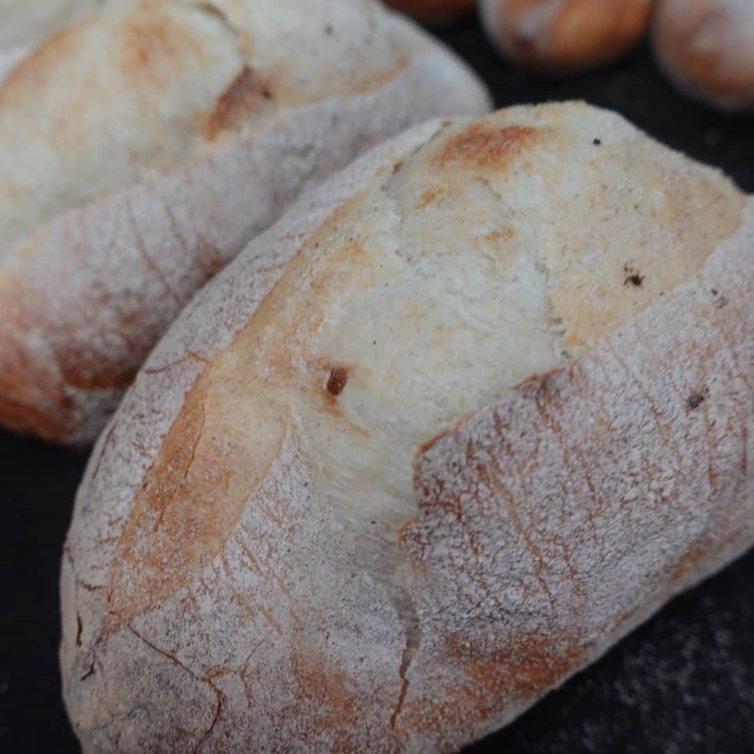 魔女菅原さんのインスタグラム写真 - (魔女菅原Instagram)「＃ハード系パン　＃パーネトスカーノ 　発酵種法でフランスパン用準強力粉、水、酵母、通常の1/3の塩のみで発酵させ焼き上げています。素朴なパンにはなにを合わせてもなじみます。きょうはよく膨らんだ…。 ＃盛岡　＃盛岡パン　＃盛岡パン屋　＃自家製天然酵母のパン屋さんカンパーニュ　＃魔女菅原」10月22日 9時46分 - hatsuyosugawara