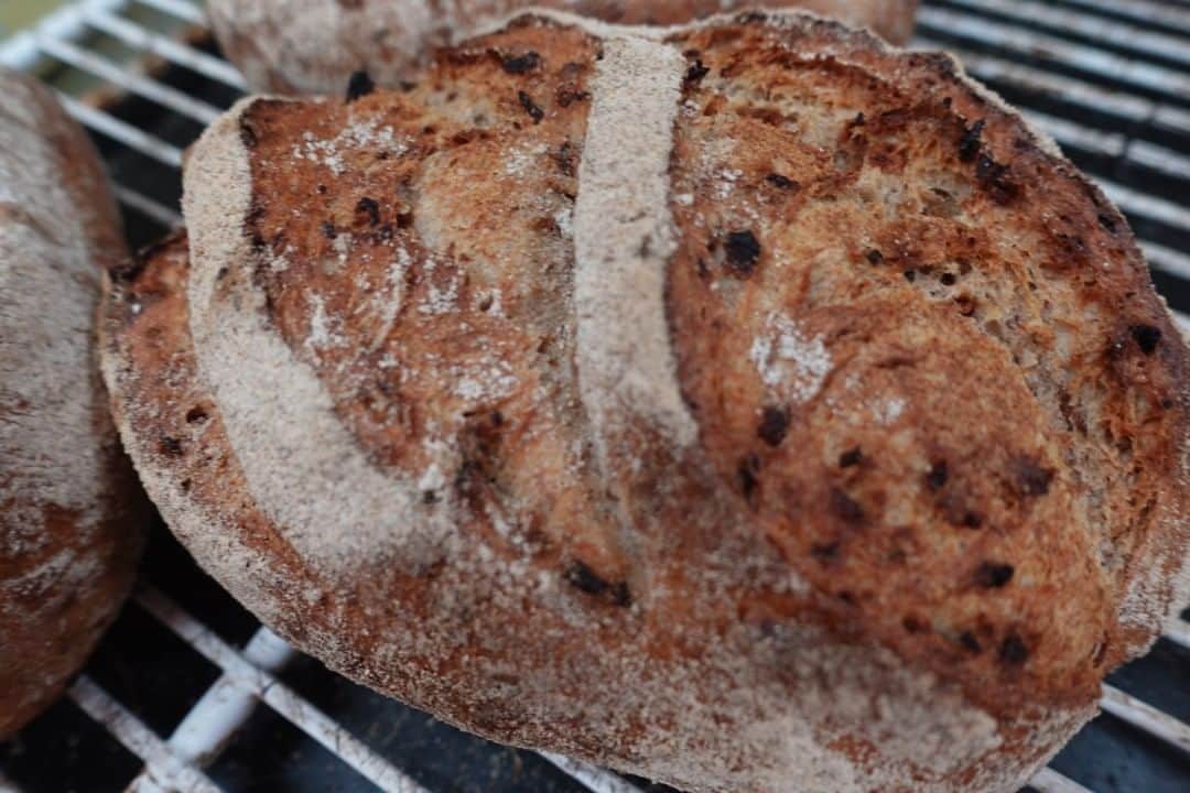 魔女菅原のグルメインスタ