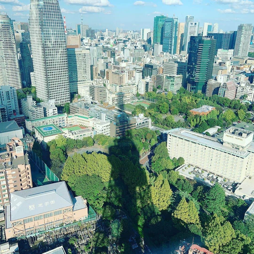 及川奈央さんのインスタグラム写真 - (及川奈央Instagram)「ここ数週間睡眠不足でしたが、今朝は久々に長めに眠れたので元気ですおはようございます☀︎ 昨日は打ち合わせday でした。 銀座でお洒落ランチ。のあとにまだ時間があったので 急遽流れで(?)東京タワーにのぼることに。 30代女二人で階段600段チャレンジしましたよ。 富士山登頂したことを思い出せば、だいたいのことは大したことありませんね。 200段でゼイゼイ言ってましたけど。」10月22日 9時56分 - naooikawa