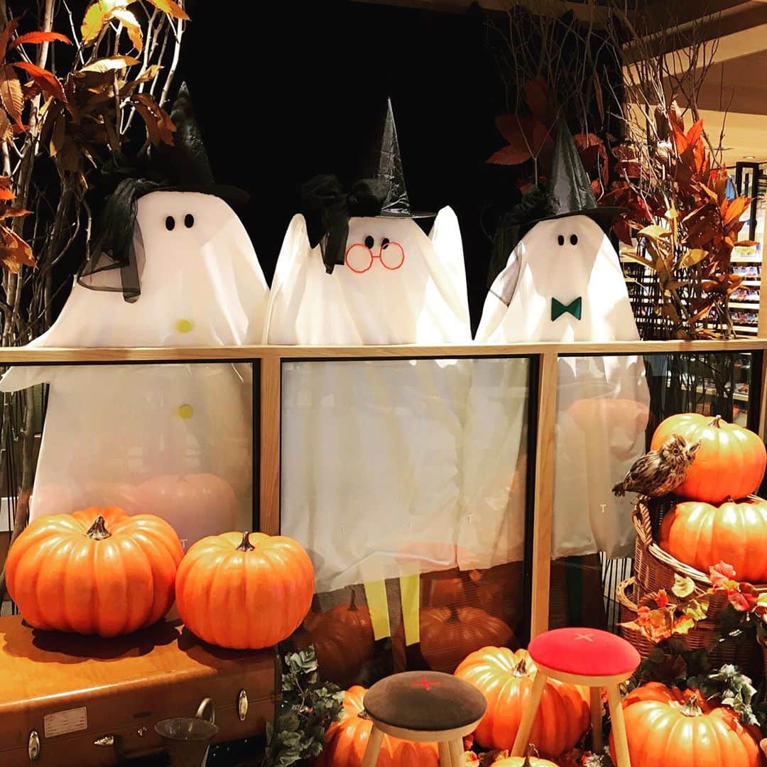 柏の葉 T-SITEさんのインスタグラム写真 - (柏の葉 T-SITEInstagram)「【館内紹介】﻿ 🎃プレハロウィン通信 vol.10﻿ ﻿ 2F 柏の葉ラウンジにフォトスポット展開中📷 11/1(日)まで設置しております！﻿ ぜひおばけ達に会いに来てねー！﻿ ﻿ 🎃みんなで作ろうハロウィンアルバム👻﻿ ﻿ 10/18(日)に開催された「プレハロウィン」イベント当日やイベントで作った作品の写真、フォトスポットでのお写真など、ぜひ #柏の葉tsiteハロウィン をつけて投稿お待ちしております♪﻿ ﻿ #柏の葉蔦屋書店 #蔦屋書店 #柏の葉tsite #tsite #プレハロウィン #柏の葉tsiteハロウィン #秋のおでかけ #仮装 #柏の葉キャンパス #ハロウィンフォト #フォトスポット #おばけ」10月22日 10時27分 - kashiwanohatsite