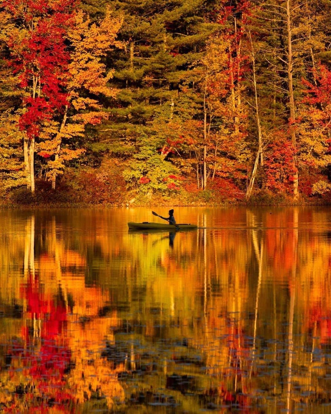 BEAUTIFUL DESTINATIONSさんのインスタグラム写真 - (BEAUTIFUL DESTINATIONSInstagram)「Fall's vivid auburn hues 🍁 A time of rest and rejuvenation, autumn is a season of contemplation, slowing down, and appreciating the impermanence of things. Besides foliage turning into a plethora of yellows, reds, and oranges, days are known to be shorter, shadows longer, and the air chillier.  In this season of transition, what are you most thankful for? 💭  📸 @nathanleeallen 📍 New Hampshire, US」10月22日 11時08分 - beautifuldestinations