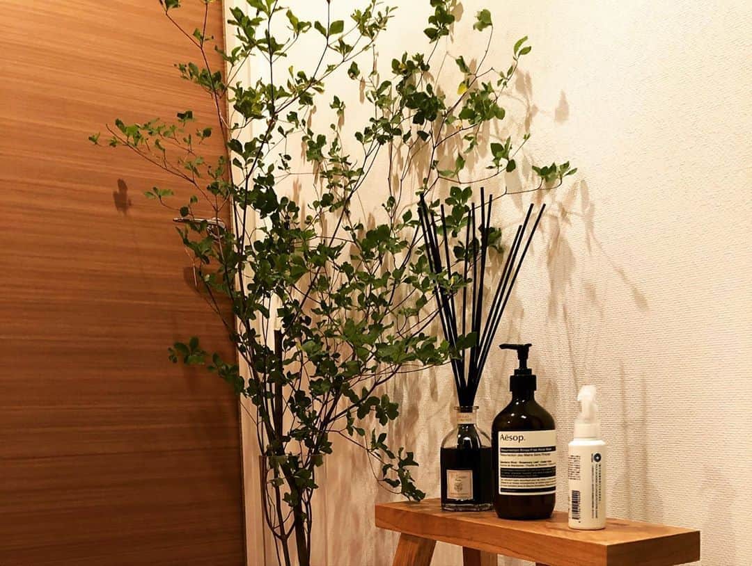 村上佳菜子さんのインスタグラム写真 - (村上佳菜子Instagram)「... #1日1投稿  さぁ！今日はね、東京のおうちの 玄関にある可愛子ちゃんたちを お見せするよ！！！💕💕 入ってすぐAESOPでアルコール消毒！ . . . @aesopskincare  @drvranjesjapan  #リサラーソン #緑のある生活 #ディフューザー #玄関マット #消毒 #玄関   #村上佳菜子 #kanakomurakami #figureskater #figureskating」10月22日 11時21分 - kanako_m_official