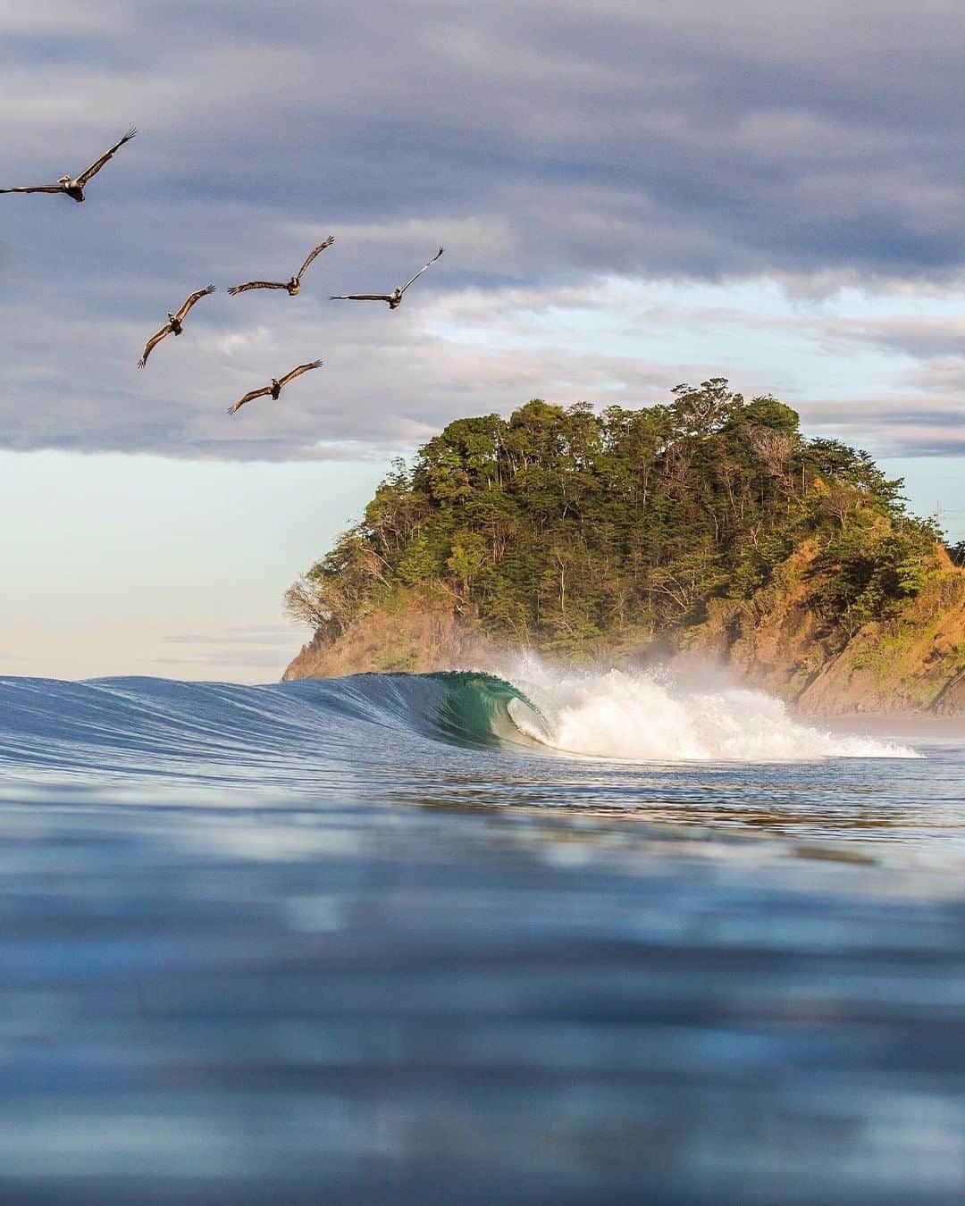 surflineさんのインスタグラム写真 - (surflineInstagram)「Costa Rica dreaming.⁣ 📷: @Kalanicphotos」10月22日 11時30分 - surfline