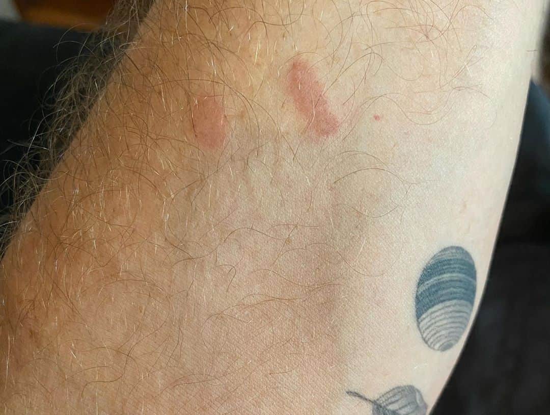 ブレッキン・メイヤーさんのインスタグラム写真 - (ブレッキン・メイヤーInstagram)「I don’t know how to cook. But my youngins keep requiring food so I’m (very) slowly teaching myself. Today was a bold attempt — Roscoe’s Fried Chicken. Found a recipe, oil is scary, almost bought a chef’s hat, got 2 oil burns, broke a plate but SUCCESS!!! Of course, had to make waffles to go with it. OH AND GO VOTE! #GirlDad #HumblestOfBrags **Special thanks to @jessestern & @stephensimonsphoto with text tips to prevent me from blowing myself up**」10月22日 12時00分 - breckinmeyer