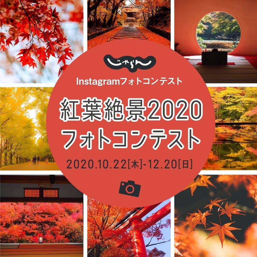 旅行メディア・じゃらん〈公式〉さんのインスタグラム写真 - (旅行メディア・じゃらん〈公式〉Instagram)「📷じゃらん「紅葉絶景2020」フォトコンテスト📷 . 「紅葉絶景」をテーマとしたフォトコンテストを開催します。 過去のお写真でも紅葉ならOK！日本各地の紅葉風景で、「記憶に残る紅葉」、「また行きたいと思う紅葉」、「今年行って素晴らしかった紅葉」などのお写真お待ちしております。  ＼今回は、期間中に2回受賞者を決定／ 第一弾11/15（日）までに応募いただいた作品 （受賞作品は12/28発売じゃらん2月号に掲載予定） 第二弾12/20（日）までに応募いただいた作品 （受賞作品は2/１発売じゃらん３月号に掲載予定） ※第一弾の受賞作品は対象外となります。 . そして、フォトコンに応募する方もしない方も、ぜひ、このハッシュタグ「#jalan_kouyou2020」を見て、旅の参考にしてください♪ . . ━━━━━━━━━━━━━━━ 【　応募期間　】 2020/10/22(木)～2020/12/20(日)23:59 ━━━━━━━━━━━━━━━ 【　応募方法　】 ① 「@jalan_net」をフォロー。 ② ハッシュタグ「#jalan_kouyou2020」をつけ、ご自身のフィードに投稿。 ━━━━━━━━━━━━━━━ ※フォトレタッチ可 （実物と大きくかけ離れた過度なレタッチは選考から除外される可能性があります） ※受賞内容は、コンテスト終了後の選考期間、約１～２週間の間に投稿された、ユーザー・画像情報が、反映されます。 ※撮影日・撮影場所を記載ください。 ※過去投稿した写真にハッシュタグをつけ加えてもコンテストの対象となります。 ※日本国内で撮影された写真のみが審査対象となります。（海外の写真は審査対象外） ━━━━━━━━━━━━━━━ 【　詳細はこちら　】 @jalan_net プロフィール欄のリンクより ━━━━━━━━━━━━━━━ 【　結果発表　】 ・第一弾受賞者の結果発表は2020年12月下旬頃に公式アカウントと、12/28発売の旅行雑誌じゃらん2月号（関東・東北版、東海版、関西・中国・四国版、九州版）で発表します。  ・第二弾受賞者の結果発表は2021年1月下旬頃に公式アカウントと、2/1発売の旅行雑誌じゃらん3月号（関東・東北版、東海版、関西・中国・四国版、九州版）で発表します。  ━━━━━━━━━━━━━━━ . . #絶景 #キャンペーン #イベント #フォトコン #フォトコンテスト開催中 #コンテスト #じゃらん #休日 #おでかけ #観光 #観光地 #観光スポット #旅行 #旅行好きな人と繋がりたい #写真好きな人と繋がりたい #ファインダー越しの私の世界 #カメラ好きな人と繋がりたい #写真撮ってる人と繋がりたい #カメラ女子 #絶景 #ダレカニミセタイケシキ #旅行好き #旅行気分 #travel #traveller」10月22日 12時00分 - jalan_net