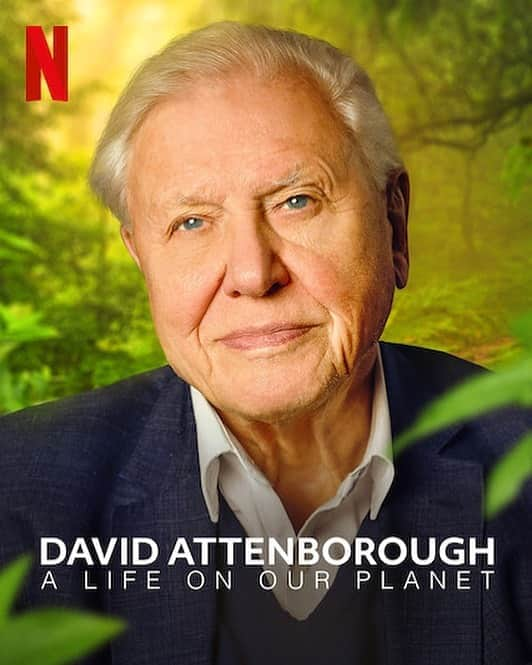 ベス・ベアーズさんのインスタグラム写真 - (ベス・ベアーズInstagram)「If you watch this beautiful  @davidattenborough film on @Netflix, there is absolutely no way you won't feel called to do your part for #climatechange. Because you will be devastated, sick to your stomach and terrified for what the future (extinction) holds for us all... in 2030s... there's no more time left . VOTE. Fight. I'm going to try to educate myself deeper and share my knowledge here, so that we can all do our part. Easy ways for you to start : compost, eat mostly plants, buy food from #regenerativeagriculture #regenerativefarming , become a member of @kisstheground ... more to come.」10月22日 12時27分 - bethbehrs