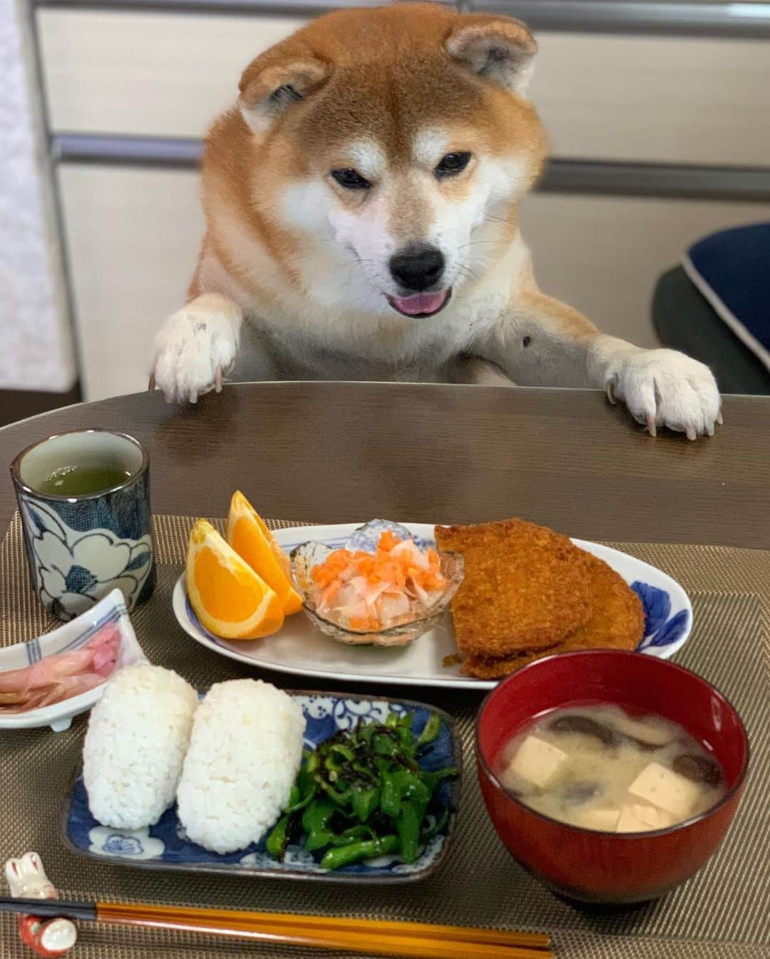 shibainu berryさんのインスタグラム写真 - (shibainu berryInstagram)「Good morning🐻🍙 で、出遅れた〜💦 #OnigiriAction ↑このハッシュタグに🍙の写真投稿で、アフリカ、アジアの子供たちに5食分の給食が届く😆10/31まで！皆さんも是非〜🤗 今朝は実家で#朝ご飯 🍙 ＊梅おにぎり ＊ピーマンの塩昆布炒め ＊フィッシュカツ🐟 ＊椎茸とお豆腐のお味噌汁 ＊大根と人参のツナサラダ🥕 ＊みょうがの酢漬け ＊オレンジ🍊 #おうちごはん #朝ごはん #❤️迷子犬の掲示板四国 @maigo_dog_shikoku #めざせ迷子犬ゼロ👌 #柴犬 #べりやん #べりむく #多頭飼い #徳島 #berry #shiba #shibainu  #shibainumania #shibastagram #instashiba #ぷにっと部 #口角キュキュッと部  #チーム俺様 →部員絶賛募集中 #shiba_snap #proudshibas #west_dog_japan #サンデイ #instagramjapan #ふわもこ部 #pecoいぬ部 #pecotv #buzzfeedanimals #9gag  @9gag @barked」10月22日 12時28分 - shibainu.berry