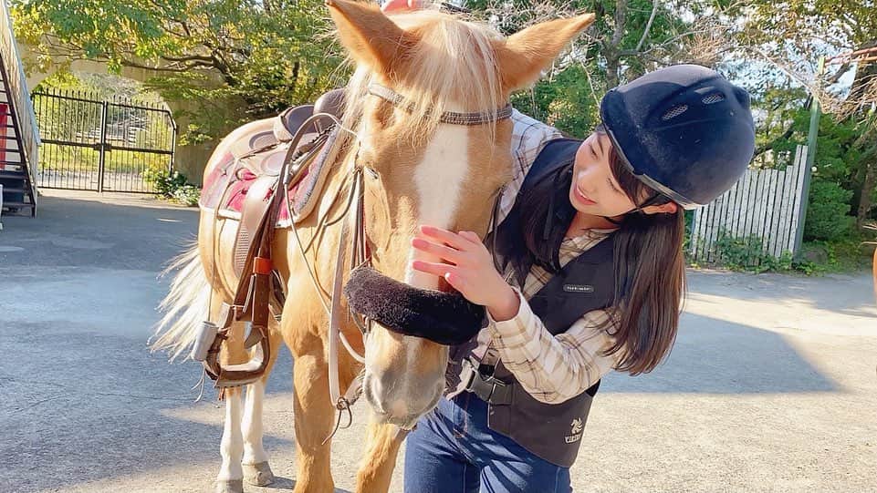 関根ささらさんのインスタグラム写真 - (関根ささらInstagram)「御殿場にある【#ヴィルタスライディングクラブ】で久しぶりに乗馬をしてきました💗🐴🤠 . . 乗馬経験は今回で5回目…！ こちらの乗馬クラブで乗るのは4回目でした🐴🐴🐴🐴 . . 今回も相棒はChip🐴♡ お馬さんの性格と乗る人の性格の相性も大事みたいで、トレーナーの方にいつも「ささらちゃんはChipね！」と言われるの🌈🌈今回でさらに仲良しになりました🥰🥰🙏 . . YouTube用に動画撮影もしてきたのでアップ楽しみにしててね🎈 . . #virtusridingclub #御殿場 #乗馬 #乗馬クラブ #乗馬体験 #乗馬女子 #riding #ridinglesson #ridingsexy #ridingahorse #gotemba #westernstyle #ウエスタン」10月22日 12時29分 - sasarasekine