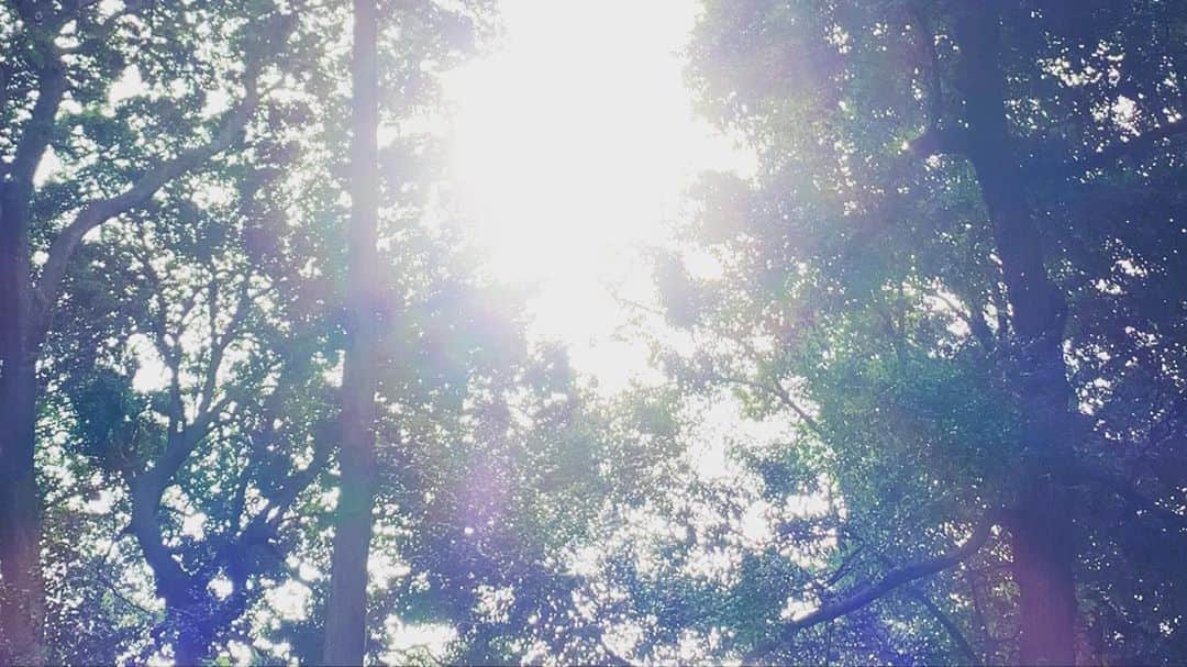 たむらぱんさんのインスタグラム写真 - (たむらぱんInstagram)「立ち止まって撮っているのはわたし。ふむふむ。ならばこの足音は誰？と思っている。笑　ほほほ」10月22日 12時50分 - _tamurapan_
