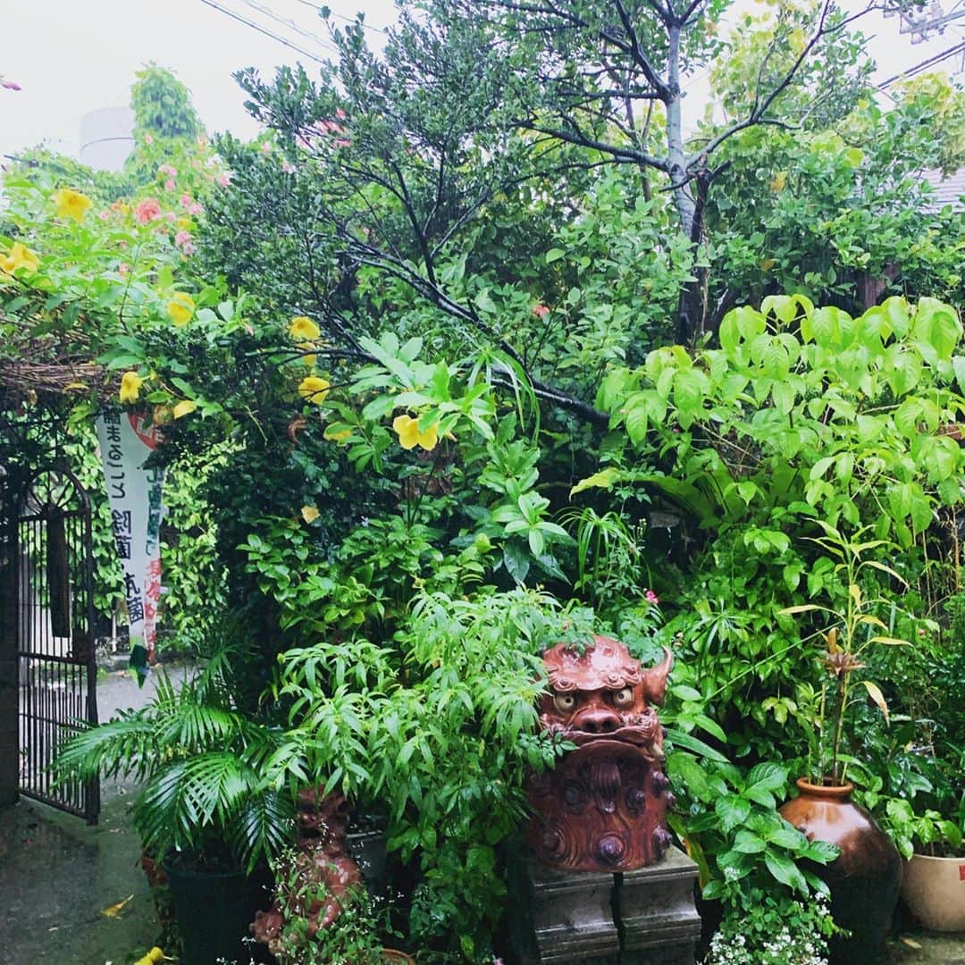 日比野玲さんのインスタグラム写真 - (日比野玲Instagram)「到着、、、大雨！ #そうきそば#カレンダーは9月 #あるね #緊急速報 #ないね」10月22日 18時15分 - aquilano_hibino