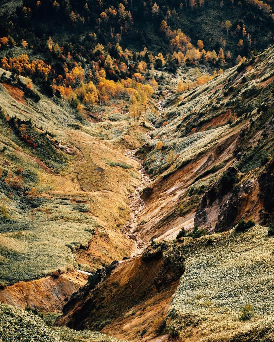 GENTAのインスタグラム：「in Autumn🍂 志賀高原も横手山まで登ると急に高山らしい景色になります。このすぐ後ろの山頂はもう初雪で薄化粧していました。今年は雪が早いですね🏔  Lightroomがアップデートされてカラーグレーディングという新機能が付いたので試しにグリグリしてみました。」