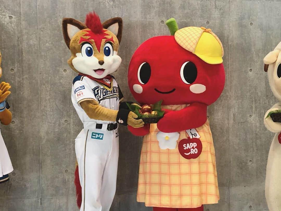 北海道日本ハムファイターズ フレップさんのインスタグラム写真 - (北海道日本ハムファイターズ フレップInstagram)「🍎 今日は試合前に、 豊平区のマスコットキャラクター「こりん」と「めーたん」から、 豊平区産のリンゴをファイターズに贈呈してもらいました！ 今年で１７回目の贈呈で、今年は「ふじ」という品種のリンゴをいただいたよ🍎 リンゴにはファイターズのロゴや、 こりんのイラストなどが黄色く浮き出ているんだよ、 不思議〜✨ こりん・めーたん、こんな素敵なリンゴを札幌ドームまで届けてくれてどうもありがとう！！ また会おうね〜！ 🍎 ⚾️ 🍎 ⚾️ #lovefighters #羽撃く #100baseball #フレップ  #ポリーポラリス  #こりん #めーたん #豊平区」10月22日 18時20分 - frep_the_fox