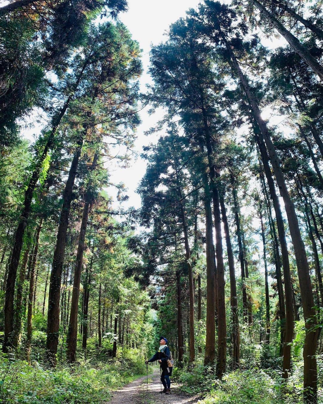 サトウヒロコのインスタグラム：「📸👥募集‼️  佐野の地域おこし協力隊 サンミュージックのテルさんと ほんのり恒例になりつつある佐野遊び✨  ばえる写真選手権で お互いをモデルにして写真を撮り合いました。 一応今回は私の勝ち📸🤳✨  今度は壬生遊びしたいと思います。  テルさんのウエアが可愛かったので、 お揃いのウエアを買ったよ。 みんなで着たら店員さんみたいになった（笑） かわゆい。 佐野アウトレットColumbiaの店員さんありがとう❣️  YouTubeの撮影協力してくださる方を募集中。 話しながら歩きながら回すの難しいんだもーん💦  #栃木 #栃木観光  #佐野 #佐野観光 #地域おこし協力隊 #サンミュージック #テル #ロバートデニーロ #吉本興業 #シンガーソングライダー #サトウヒロコ #佐野歩き #佐野遊び #遊び #山登り #山歩き #唐沢山神社  #映える  #映え #映えスポット #第一酒造 #なるねこ #黒唐揚げ #佐野アウトレット #columbia  #佐野コロンビア #YouTube #この街イッてランキング」