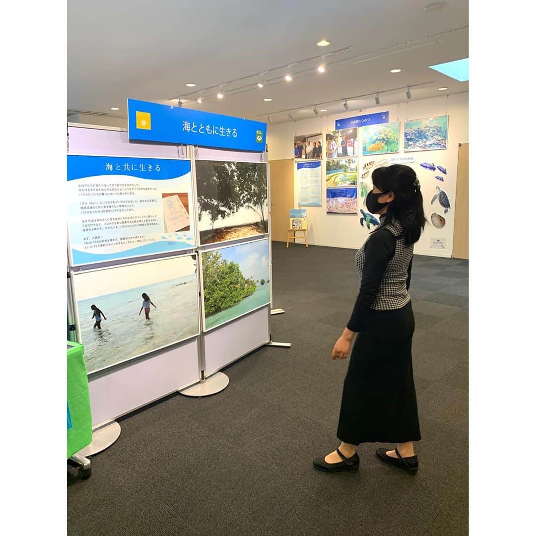 空木マイカさんのインスタグラム写真 - (空木マイカInstagram)「先日亡くなられたパラオのナカムラ元大統領への追悼文を写真展に追加しました。写真展お立ち寄りの際には、こちらもぜひ見てもらえると嬉しいです。  そして会場のサンゴツリーにメッセージがたくさん増えてたー！🐟🐠ありがとうございます❤️  今日はニュースアナウンサーの松本さんが見に来てくれました！😆この写真展、こだわったのは写真よりも文章だったので、言葉を褒めてもらえたのがすごーく嬉しかったです☺️ぜひゆっくり読みに来てくださいね❤️ #jica中部なごや地球ひろば  #新しい世界のヒントを求めて #パラオ写真展」10月22日 14時19分 - maika_utsugi