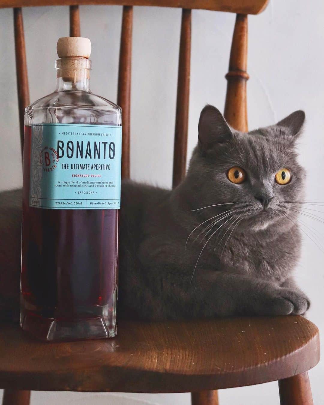 樋口正樹さんのインスタグラム写真 - (樋口正樹Instagram)「BONANTO & TUMUGI . 今週末はちょっと お出かけするので 旅のお供を買いに 渋谷の紀ノ国屋へ。 チーズや味噌系の おつまみを購入し、 ついでにツムギと ラベルで即買いの ボナントっていう ハードベルモット。 帰宅してすぐこの ２つを合わせたら めっちゃお洒落な 味になりましたよ！ @bonanto_aperitivo @wapirits.tumugi . . 紀ノ国屋さんとか ＰＢ系スナックが 充実しているので いっつも迷います。 それでも決まって チーズ系選びがち。 @kinokuniya_super . . #KINOKUNIYA #紀ノ国屋 #ボナント #ベルモット #ツムギ #スピリッツ #和ピリッツ #BONANTO #apero #aperitief #tumugi #wapiritsTUMUGI #wapirits #発酵 #麹 #三和酒類 #madeincocktails #craftcocktails #cocktailgram」10月22日 14時45分 - higuccini