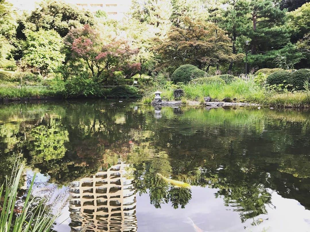 濱田将充さんのインスタグラム写真 - (濱田将充Instagram)「早稲田 甘泉園」10月22日 15時22分 - masamichihamada