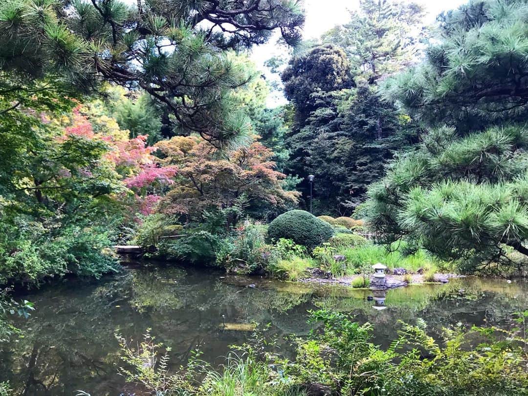 濱田将充さんのインスタグラム写真 - (濱田将充Instagram)「早稲田 甘泉園」10月22日 15時22分 - masamichihamada