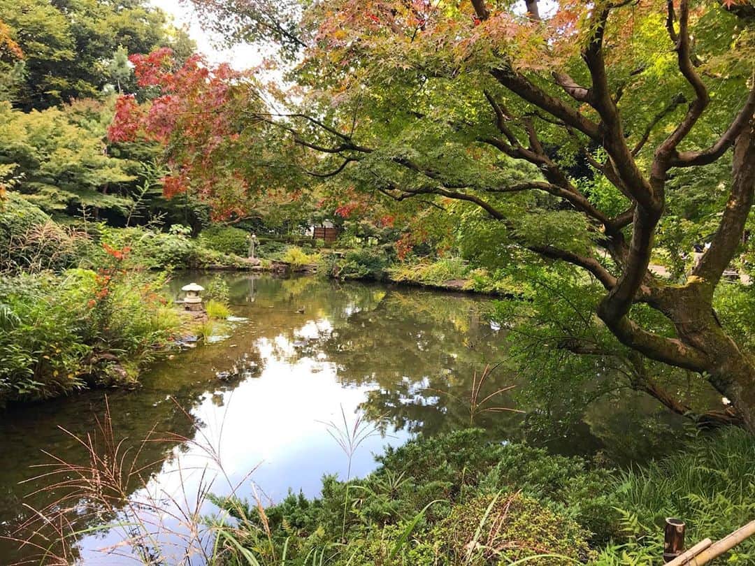 濱田将充さんのインスタグラム写真 - (濱田将充Instagram)「早稲田 甘泉園」10月22日 15時22分 - masamichihamada