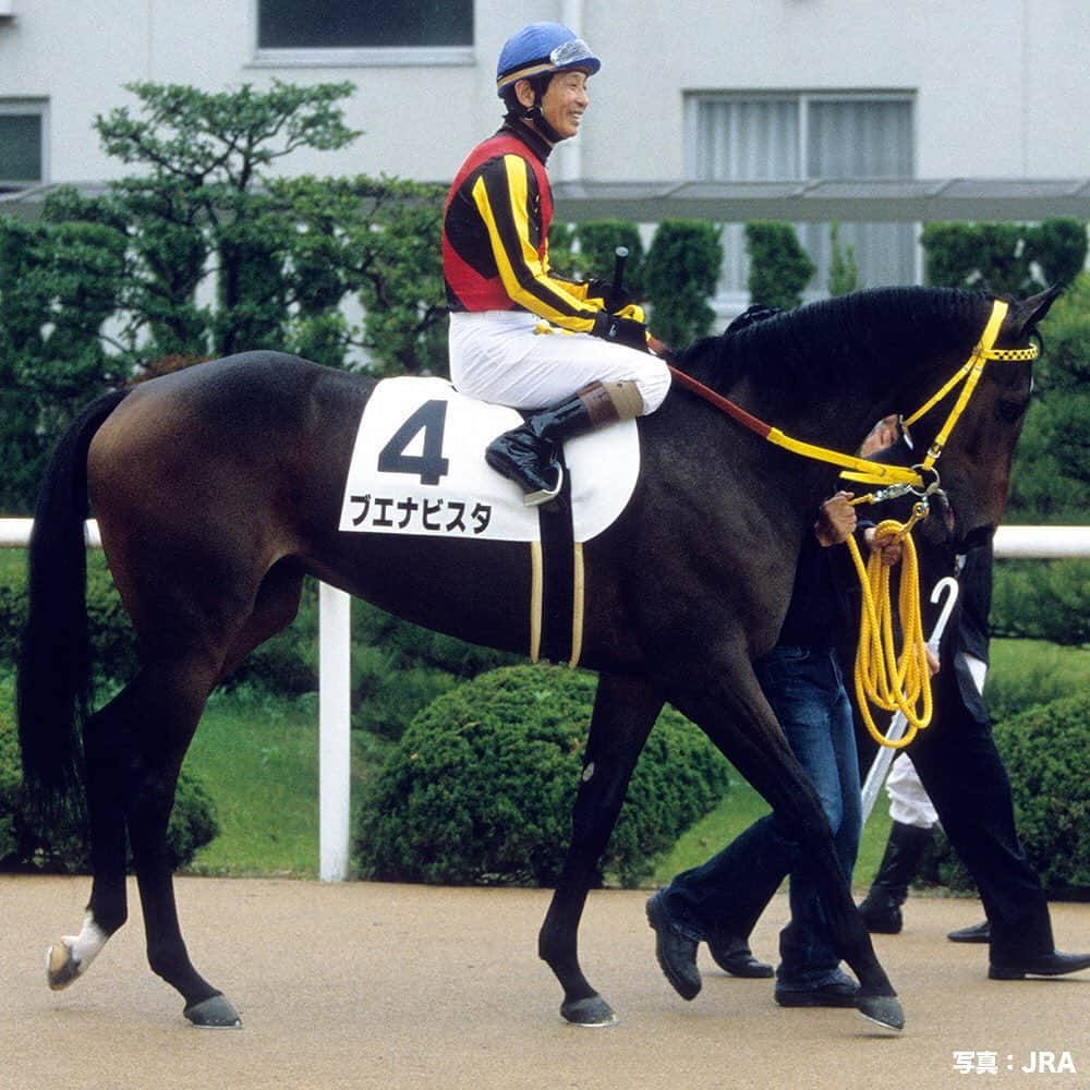 umabi_officialのインスタグラム：「メイクデビュー列伝。  #2008年10月第四週目には #GI6勝の女傑 #ブエナビスタ が #デビュー #のちに1着馬 #アンライバルド は #皐月賞 制覇 #2着馬 #リーチザクラウン は #日本ダービー 2着 #4着馬 #スリーロールス は #菊花賞 制覇と #伝説の新馬戦 として #語り継がれているよ #うまび」