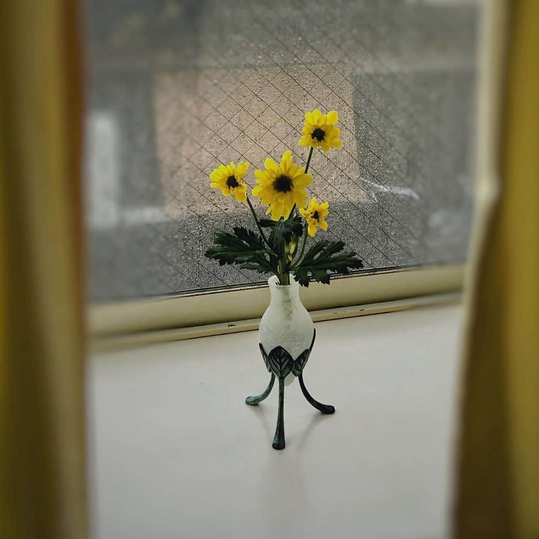 いけばな池坊さんのインスタグラム写真 - (いけばな池坊Instagram)「＊﻿ 【暮らしの花／Flower of Daily Life／生活之花】﻿  10月22日／22nd October﻿ ﻿ 天気が良くないので菊の花で元気をもらえるよういけてみました。﻿ 器が擦りガラスなので、白のリンドウで関連づけました。﻿ The weather was not good so I used chrysanthemums to cheer me up.﻿ The vase which is made of frosted glass creates a similar image of white Japanese gentian.﻿ 天氣不是很好所以用菊花來帶出一點精神。﻿ 花器是霧玻璃做的正好和白色龍膽印象相符。﻿ ﻿ 花材：スプレー菊、竜胆﻿ chrysanthemum, Japanese gentian﻿ 菊花、龍膽 ﻿ ﻿ ﻿ 雨の日もある。﻿ ﻿ 京都は雨です☔️﻿ 今晩は降り続ける様子。﻿ ﻿ そんな少し暗い日も、﻿ いけばながあるとなんだか明るくなりますね☺️﻿ ﻿ ﻿ #池坊 #いけばな #華道﻿ #暮らしの花﻿ #花のある暮らし﻿ #秋 #季節を楽しむ﻿ #天気 #雨 #雨の日の過ごし方﻿ #癒しの空間 #日常﻿ #素敵 #楽しみ #自由﻿ #子供と一緒に #明るく﻿ #趣味探し #お家で﻿ #京都 #日本文化﻿ #ikenobo﻿ #ikebana﻿ #floweroflife﻿ #ikebanaforpraying﻿ #kyoto #japaneseculture﻿ #10月の花﻿ #スプレー菊﻿ #リンドウ」10月22日 15時44分 - ikenobo550