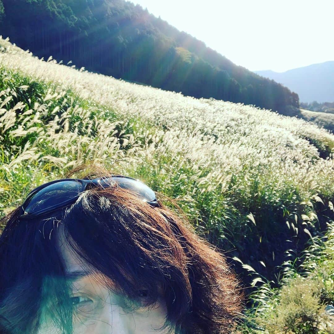 白井眞輝さんのインスタグラム写真 - (白井眞輝Instagram)「すすきを見に。 I went to Sengokuhara.  #仙石原 #アレキサンドロス #alexandros #白井眞輝」10月22日 16時17分 - masakishirai_alexandros