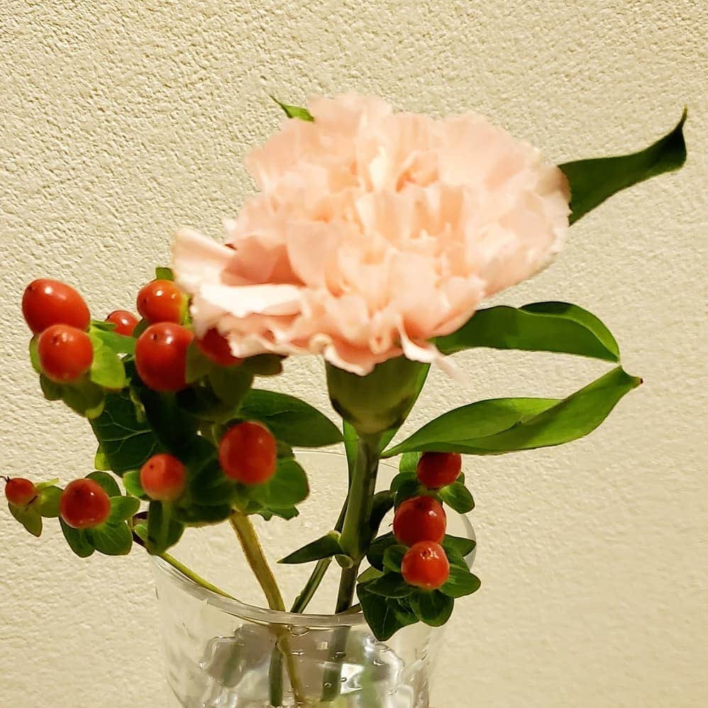 Naokoさんのインスタグラム写真 - (NaokoInstagram)「. かわゆいハロウィン🎃の箱に入って、またまた@bloomeelife さんからお花が届きました💐😊. . . 『フラワーハロウィンへの招待状』という企画に参加しています❣ . . クーポンコード「HLWN86」を登録時にご利用いただくと、初回のお花と送料が0円になります❣ （有効期限2020年11月30日23:59）. . . 26日までだとハロウィンデザイン🎃の箱で届くそうです🤗 よろしければぜひ〜💐🎃🥳. . . .  #bloomeelife#ハロウィン飾り#フラワーハロウィン#ポストに届くお花#お花の定期便」10月23日 2時38分 - setsunao