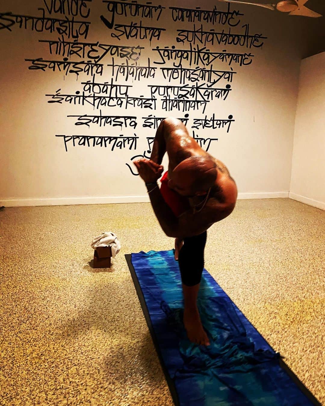 カルロス・ブーザーのインスタグラム：「Find The Balance In Every Step You Take... #ashtangavinyasa #HOLDAT 📷: @yoginicolas ॐ」