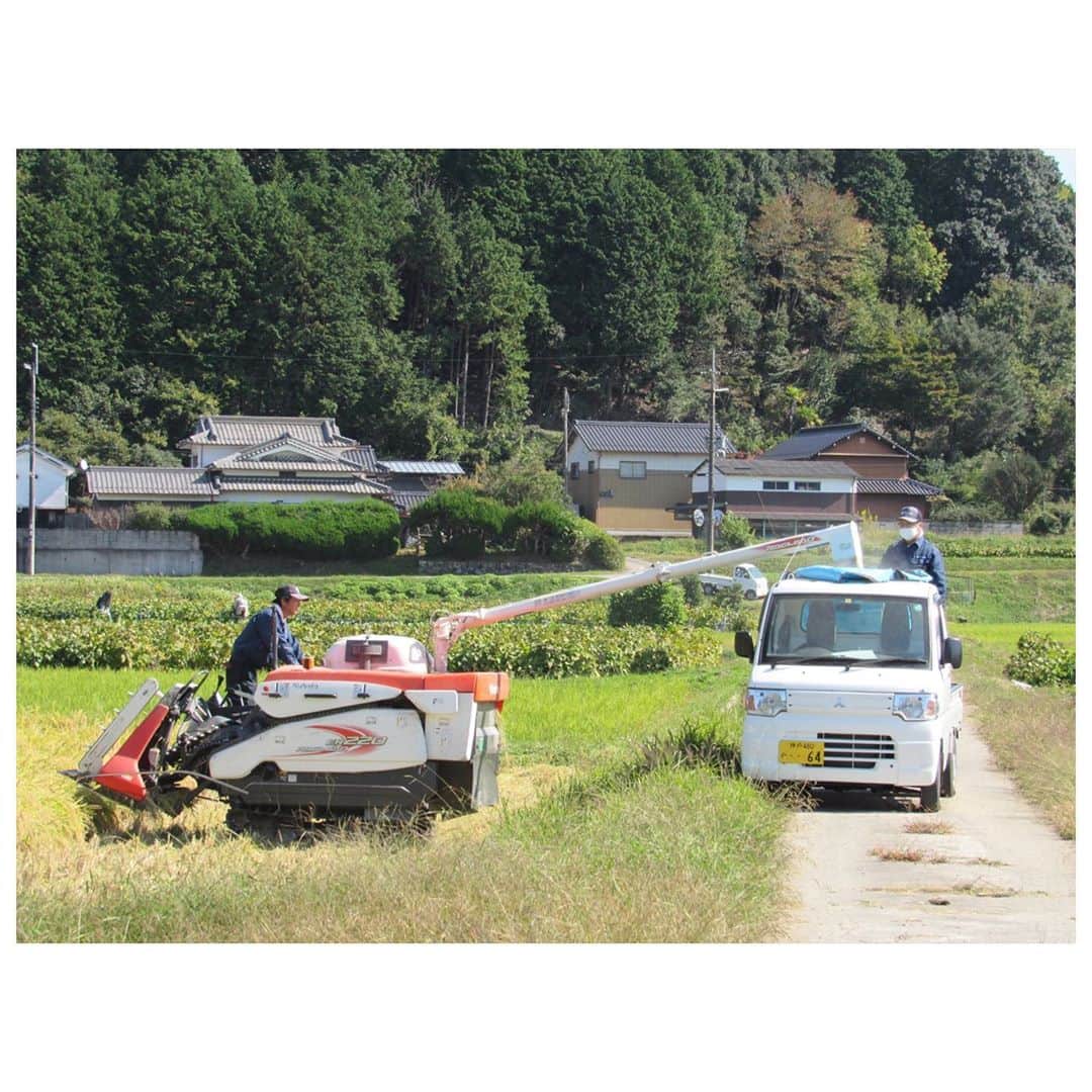 白鶴酒造株式会社さんのインスタグラム写真 - (白鶴酒造株式会社Instagram)「【白鶴ファーム稲刈り】 昨日白鶴ファームの今年の稲刈りがすべて終わりました。 最後は晩生の白鶴錦でしたが、台風の被害もなく、無事刈り取ることができました。 今年は8月にほとんど雨が降らず、非常に厳しい生育状況となりましたが、何とか収穫を迎えられて安心していました🌾 今回収穫した白鶴錦の一部は、「白鶴 翔雲 純米大吟醸 自社栽培白鶴錦」の原料米として使用されます🍶  是非稲刈りの様子なども思い出しながら味わってくださいね♪  #日本酒 #白鶴 #hakutsuru #折り鶴 #foldedpapercrane #japan #神戸 #kobe #酒 #sake #japanesesake #japaneseculture #灘五郷 #GI灘五郷 #lovehyogo #lovekobe #insta_higashinada #丹波篠山市 #白鶴ファーム #田んぼ #稲刈り #白鶴錦 #酒米 #翔雲」10月22日 18時31分 - hakutsuru_official