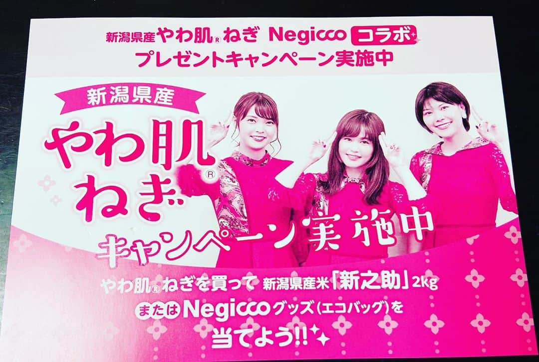 Negiccoのインスタグラム：「﻿ #やわ肌ねぎ﻿ #Negicco」