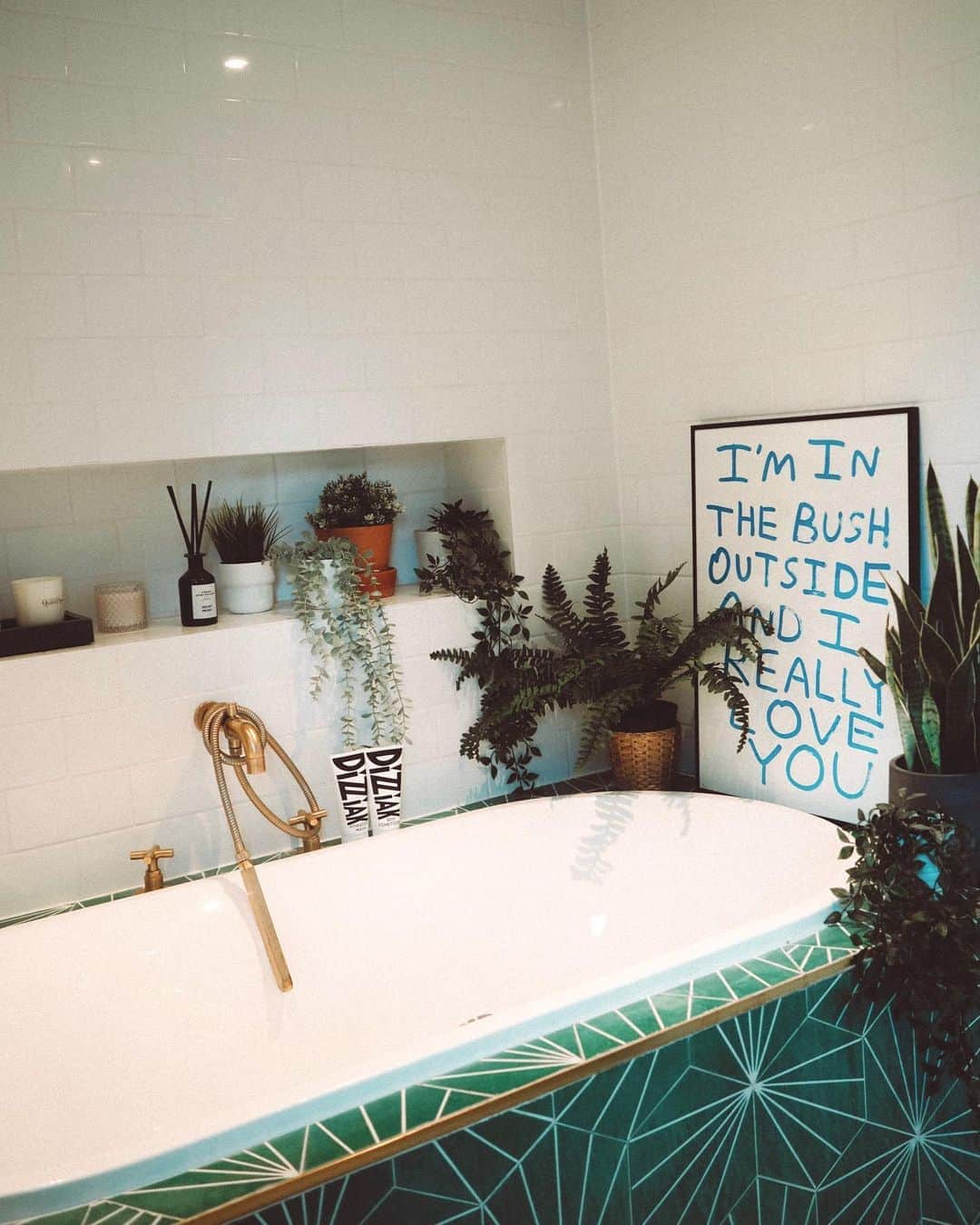 ルー・ティーズデールのインスタグラム：「@louteasdalehome 🌵」