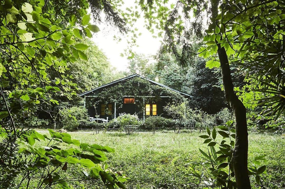 Vogue Italiaさんのインスタグラム写真 - (Vogue ItaliaInstagram)「Out as part of the October issue of Vogue Italia, the new #CasaVogue features a text by Paolo Lavezzari about Filippo Jacobsson’s fascinating house in the woods which previously belonged to his grandmother, Luchino Visconti’s sister Uberta. Swipe the gallery and get your copy on newsstands. Photographs #FilippoJacobsson」10月22日 19時29分 - vogueitalia