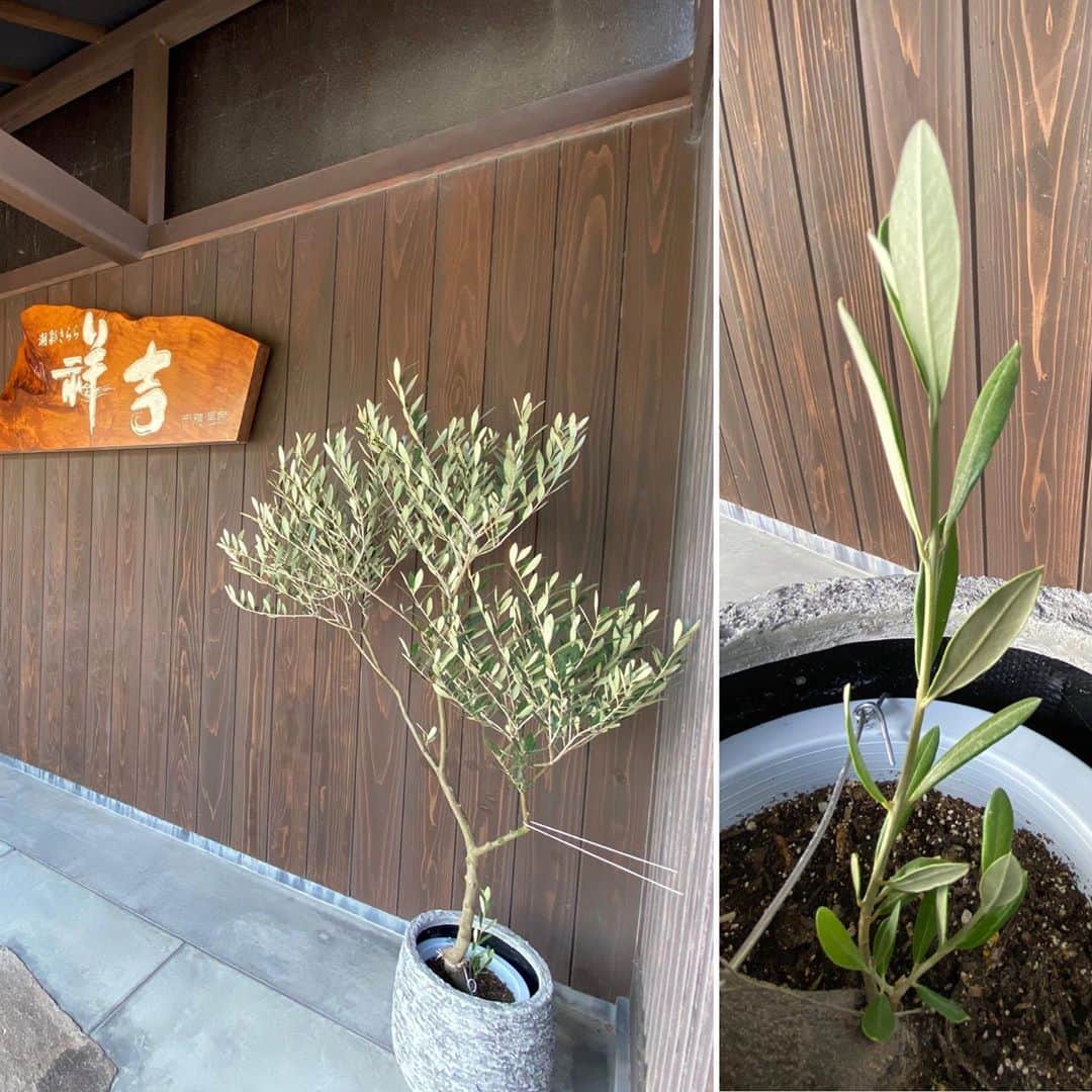 祥吉のグルメインスタ