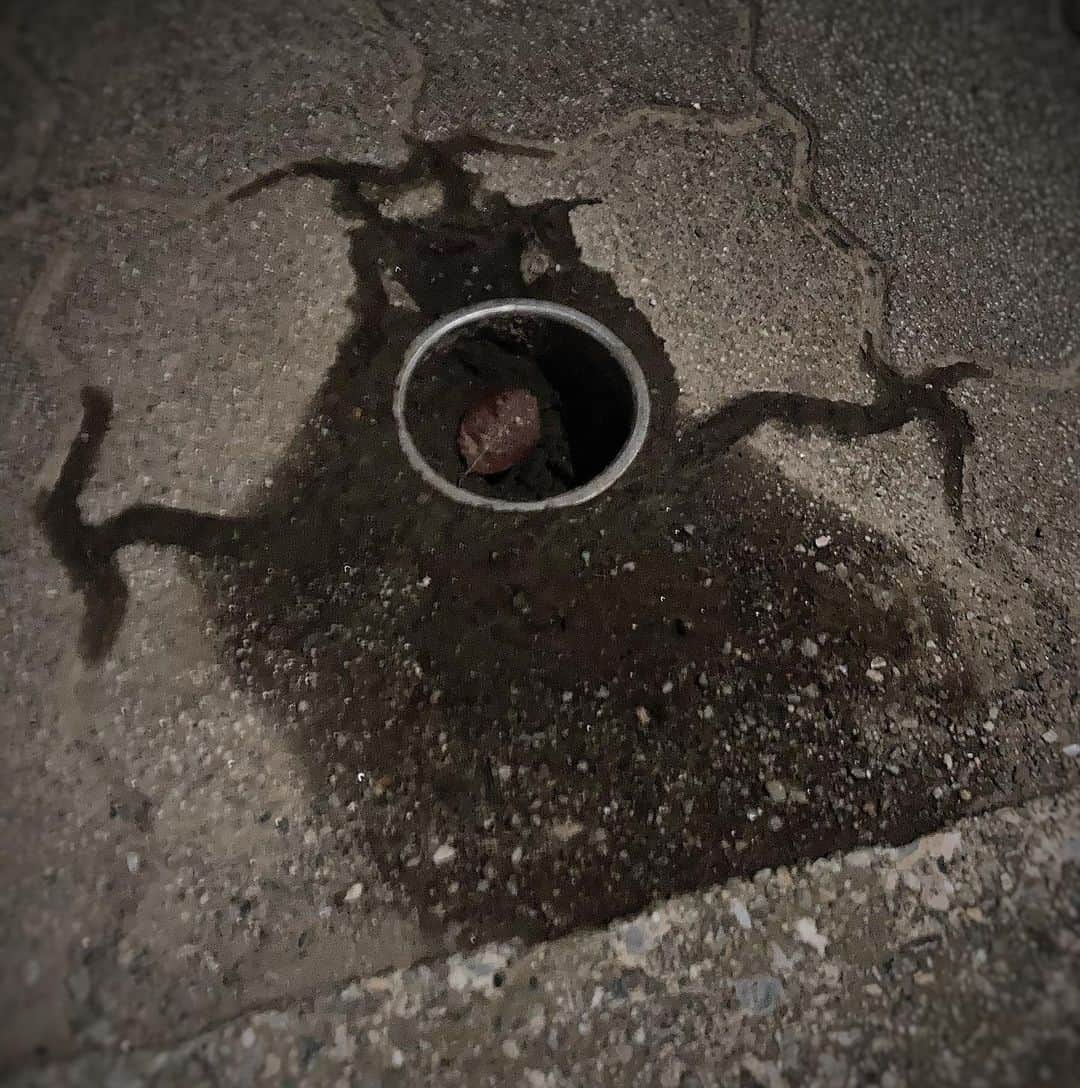 井俣太良さんのインスタグラム写真 - (井俣太良Instagram)「夜道で遭遇したオバケちゃん👻」10月22日 19時35分 - tairaimata