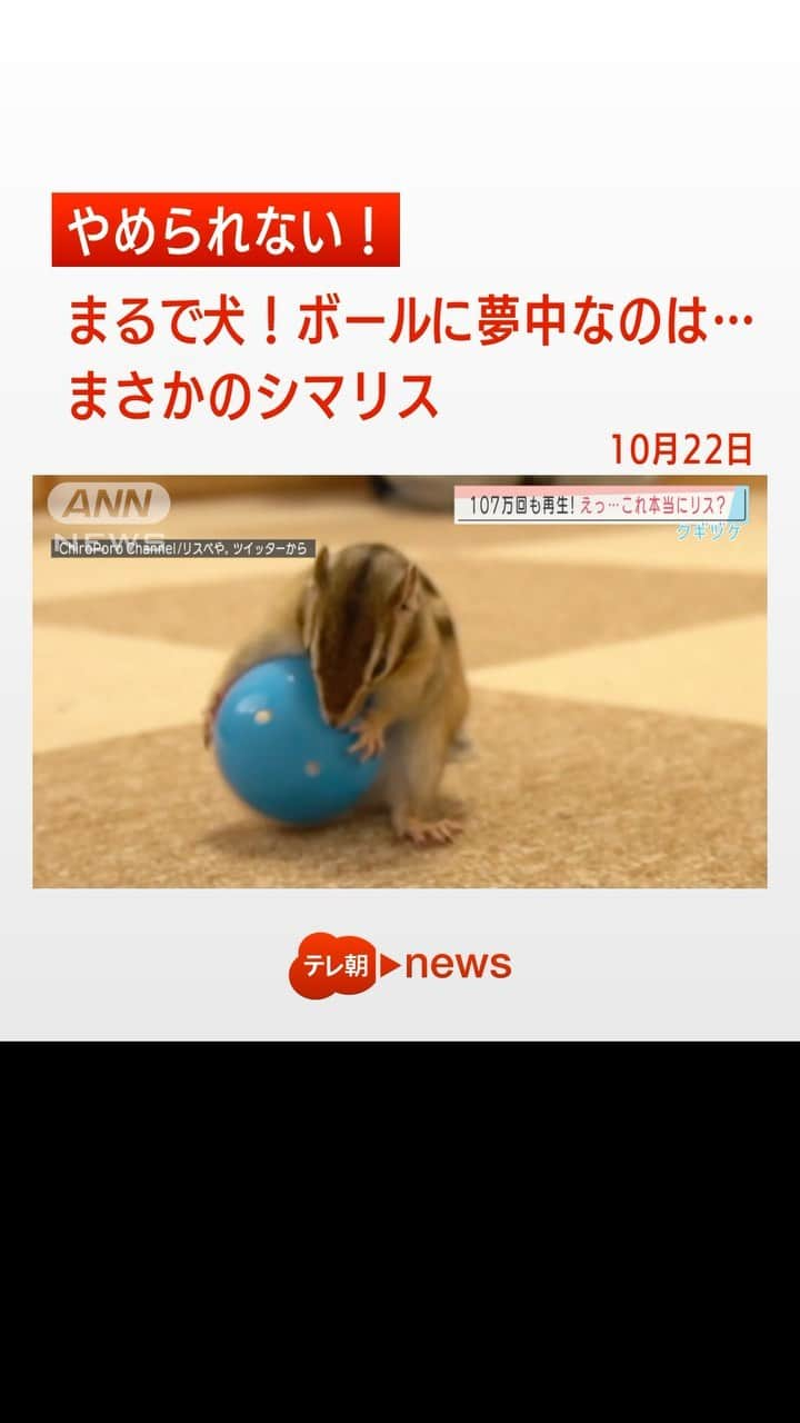 テレ朝newsのインスタグラム