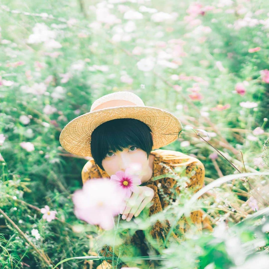 のインスタグラム：「・ 今年もコスモス撮りたいなぁ🌸 コスモスの聖地・万博に今年もたくさんのインスタグラマーたちが集まるのだろうか📷(*´꒳`*)」