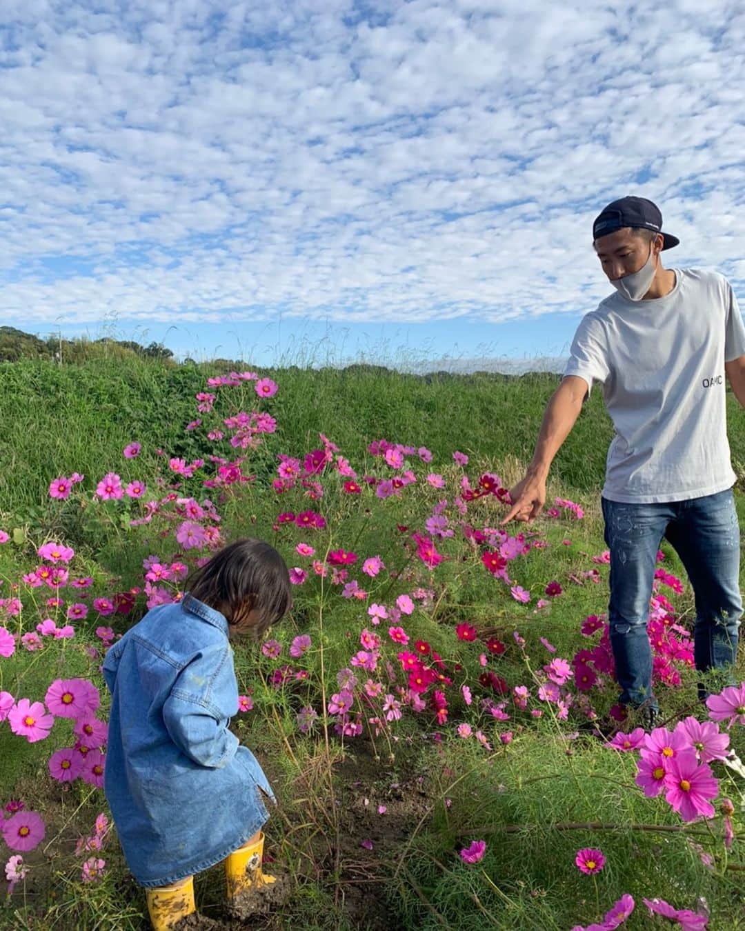 都倉賢のインスタグラム：「コスモスの花言葉は「乙女の純潔」なんだって！  これからも四季折々の色々な経験をさせてあげたいな😍」