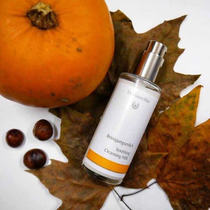 Dr. Hauschka Japan ドクターハウシュカのインスタグラム