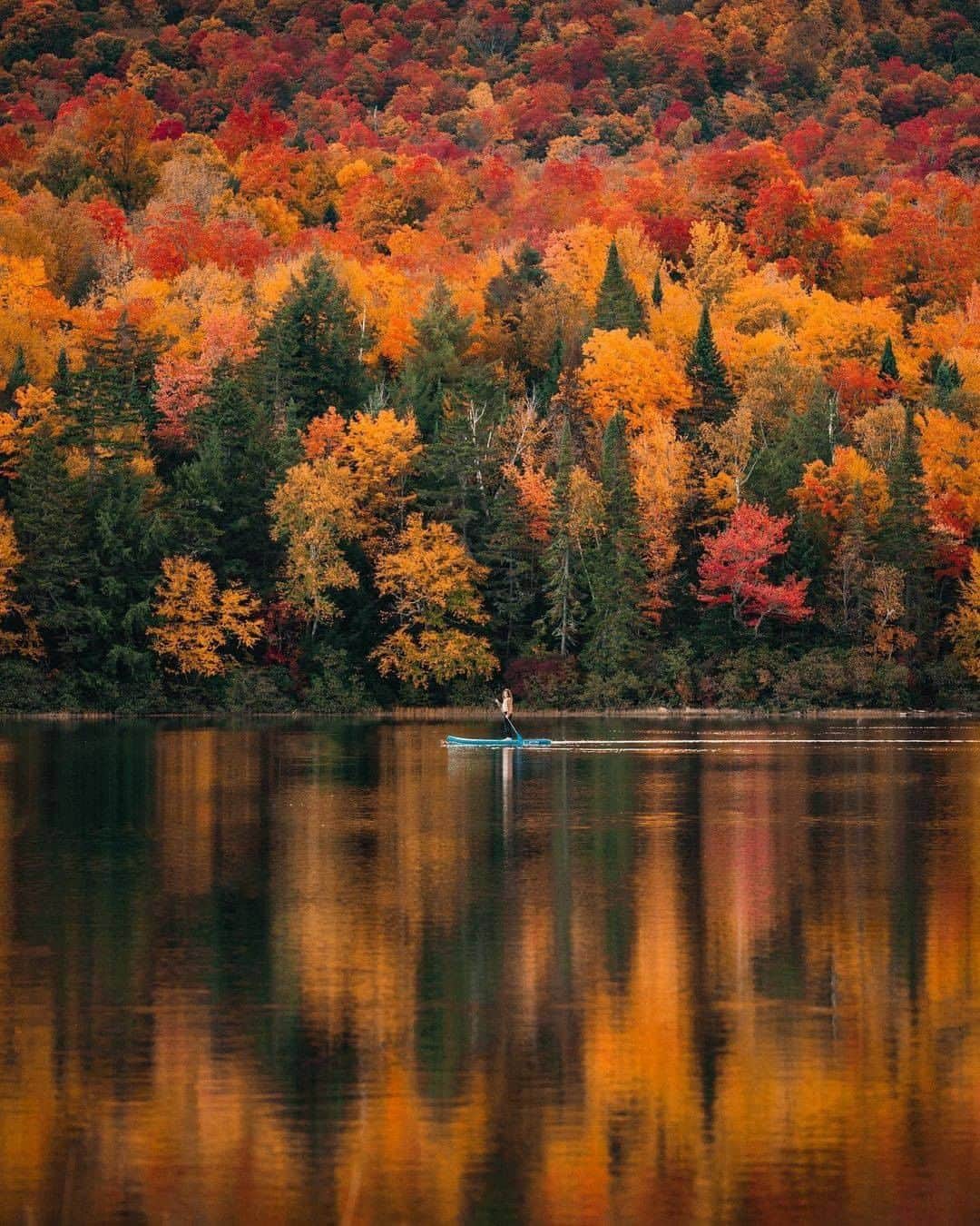 Discover Earthさんのインスタグラム写真 - (Discover EarthInstagram)「Falll vibes ! 🍁  🇺🇸 #discoveradirondacks with @chelseamealo  #autumn #fall #seasonal」10月22日 20時00分 - discoverearth