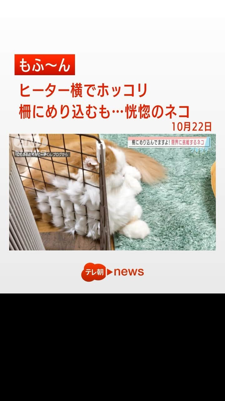 テレ朝newsのインスタグラム