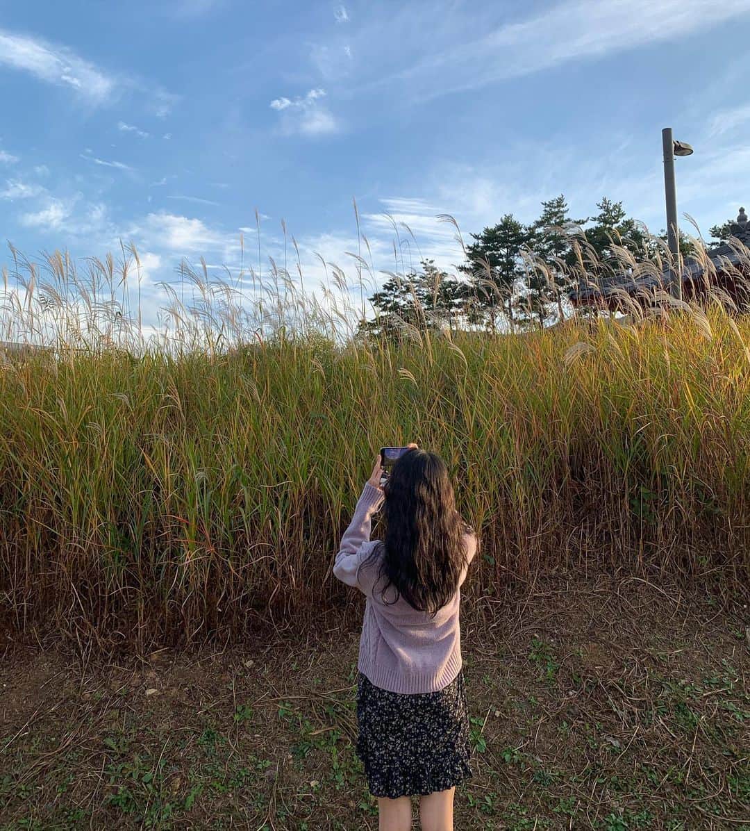 ミナ さんのインスタグラム写真 - (ミナ Instagram)「가을 저장🍂」10月22日 20時33分 - blossomh_
