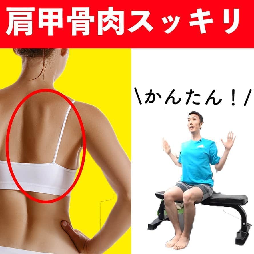 ととのえて、からだ。@渋谷発パーソナルトレーニングジムのインスタグラム：「肩甲骨、意外と見られてるかも？  こんばんは、こんさんです😌後ろ姿って、自分では見えないけど他の人のは結構見てません？ということは、、、結構あなたの後ろ姿も見られているということ・・・！残酷ですよねホント・・・。  肩甲骨の辺りは腰肉に比べてスッキリ感もわかりやすいので今回はそんな肩甲骨周りをしっかりスッキリさせるエクササイズを集めてみました✨  どれも簡単に出来るものばかりですのでぜひぜひ家事の合間などにやってみてくださいね🙌  ＜＜ととからのひみつきちについて＞＞ ﻿ ﻿ ひみつきちでは、一般アカウントには無い濃いコンテンツを配信しています😌 ﻿ ﻿ ・限定ライブ（質疑応答、お食事のこと、ブートキャンプ、種目の詳細解説まで） ﻿ ﻿ ・限定コミュニティ（不定期のLINEグループで3週間の習慣化チャレンジ） ﻿ ﻿ ・限定動画（ダイエット以外にも応用出来る継続化、習慣化スキルについての動画） ﻿ ﻿ ・週報メルマガ（１週間分のメニューが届きます！もう「何やれば良い？」なんていうのがなくなります）﻿ ﻿ と盛り盛りのコンテンツがワンコインで楽しめます。プロフィールのURLから詳細をご覧になれますので、ぜひご参加くださいませ✨」