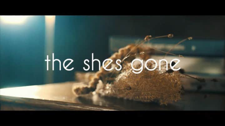 Masakiのインスタグラム：「2020.10.30 20:00 無料配信ライブ「FACE to FACE」 the shes goneのofficial Youtubeにて！ #theshesgone #FACE」