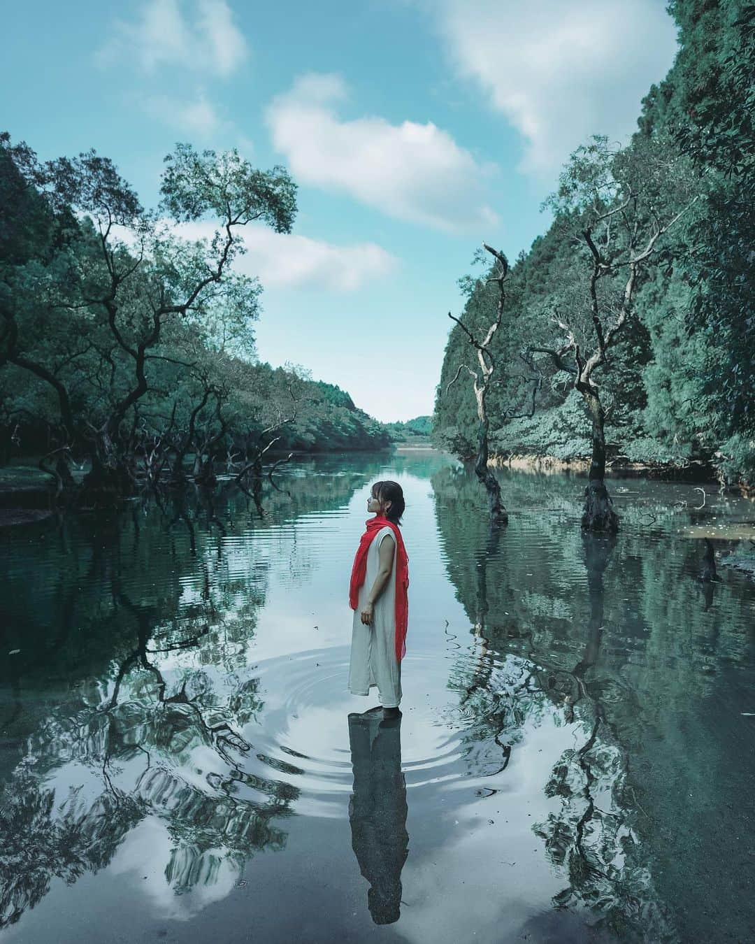 wacameraのインスタグラム：「I took this photo by Sony a7C. たった2ヶ月で夜の気温は20度下がりあっという間に冬支度。季節の変わり目、ご自愛ください。  ◆「silent mood」 α7C，FE 20mm F1.8 G，20mm，F2.8，1/500秒，ISO100 ---- 鳥さえもいない、セミの声のみが響く場所でただ静かにシャッターを切る。バリアングル液晶モニターがついているおかげで縦位置でも手を伸ばして撮れるようになった。  こちらで他の写真も見られます。 ソニーα Universe スペシャルコンテンツ 「NEWgeneration」 ‪sony.jp/ichigan/a-universe/special_newgen/‬   提供：ソニーマーケティング株式会社」