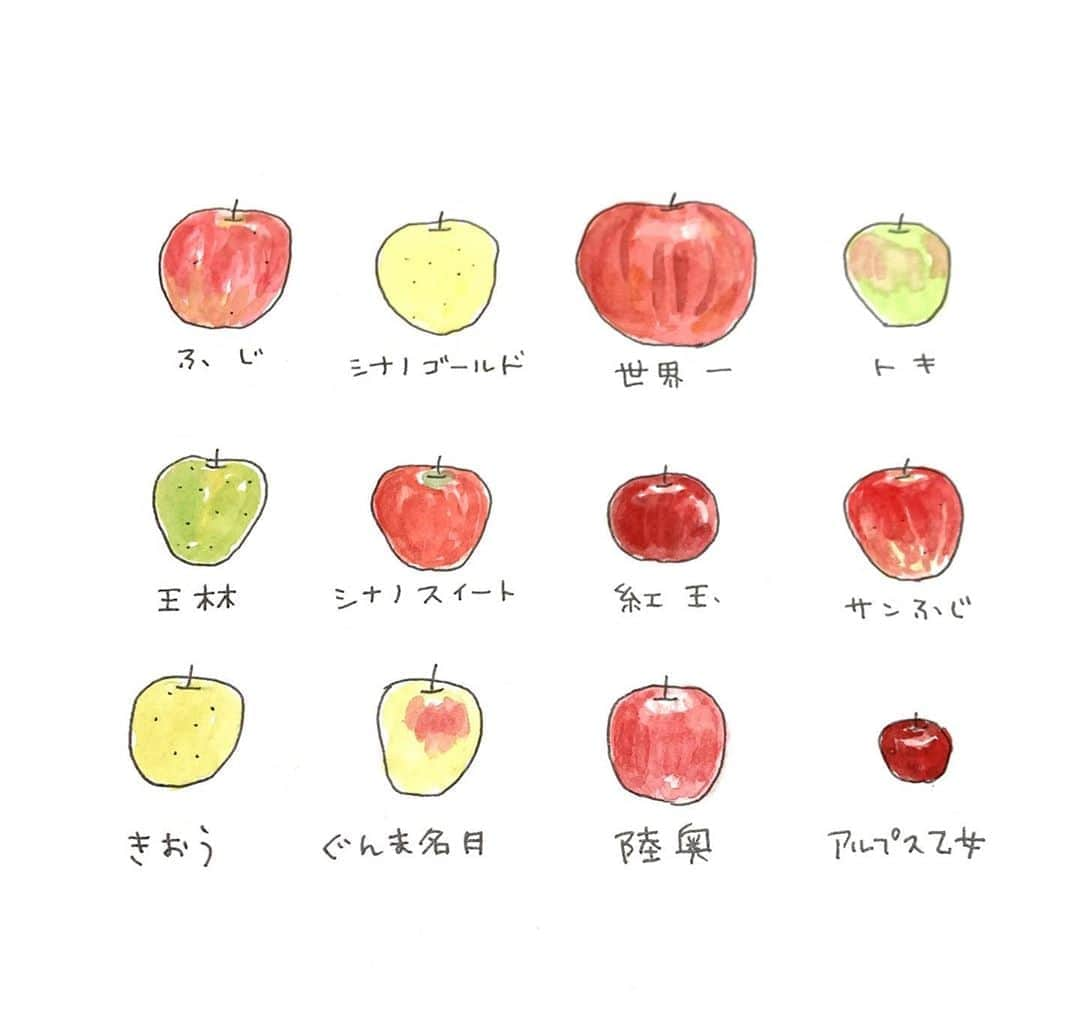 ハルペイさんのインスタグラム写真 - (ハルペイInstagram)「🍎🍏🍎🍏 りんごの季節〜😍 私、王林が大好き〜✨✨✨✨ すっぱくないのが好きよー😘 まだまだたくさん種類あるけど、 世界一っていうおっきな🍎りんご、 食べてみたいなあ😝✨ このあたりでは見たことない👀 紅玉でアップルパイなんかもいいなあ😝 . #りんご#リンゴ#林檎#apple  #王林 #大好き🍏 #秋は食べ物ばっかり描いちゃうわ😂 #秋の実り . #食べ物イラスト  #harupei#ハルペイ#doodle#draw#drawing#illustrator#illustration#japan#絵#雑貨#湘南#イラスト#イラストレーター#ゆるい#茅ヶ崎」10月22日 21時09分 - harupeipei