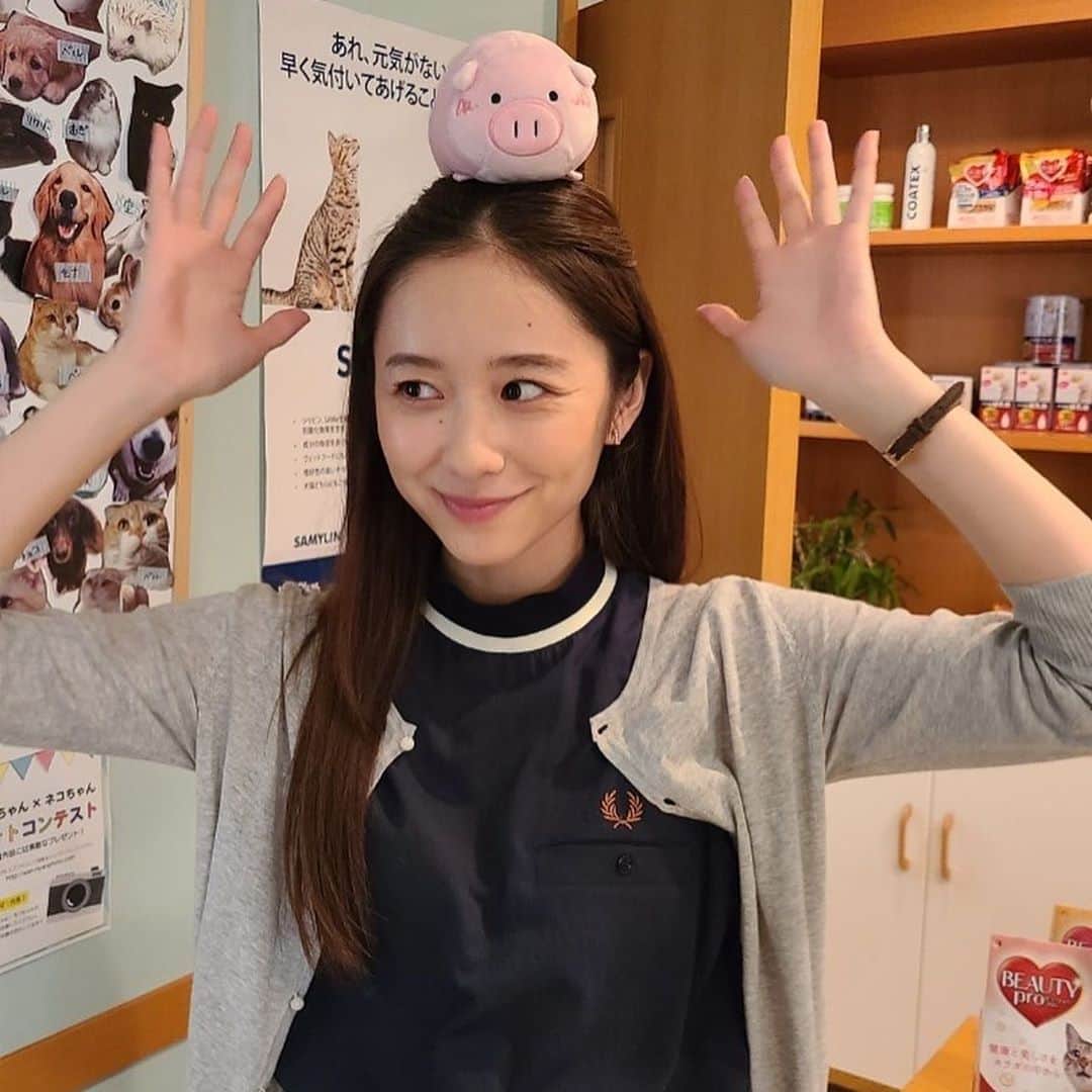 日曜劇場『危険なビーナス』【公式】さんのインスタグラム写真 - (日曜劇場『危険なビーナス』【公式】Instagram)「現場レポート　その25🐖🐖🐖 . . 第3️⃣話放送まであと3️⃣日✨ . . ここで私ブーナスから お知らせ...🐽 . こっそり池田動物病院の受付嬢として(?) 本編に出演させていただいている (そしてキュートすぎる百合華さんの頭の上にまでお邪魔している) ちっちゃな私🐷 . どうやら皆様にGetしていただけるチャンスが...💕 なにやらお友達も増えるとか増えないとか🐖🐖 . 発表をお待ちください😳 . . #日曜劇場 #危険なビーナス #東野圭吾 #ブーナス #ブーナスの現場レポート #妻夫木聡 #吉高由里子 #ディーンフジオカ #染谷将太 #中村アン #堀田真由 #結木滉星 #福田麻貴 #3時のヒロイン #R指定 #CreepyNuts #麻生祐未 #坂井真紀 #安蘭けい #田口浩正 #池内万作 #栗田芳宏 #栗原英雄 #斉藤由貴 #戸田恵子 #小日向文世」10月22日 21時20分 - kikenna_venus_tbs