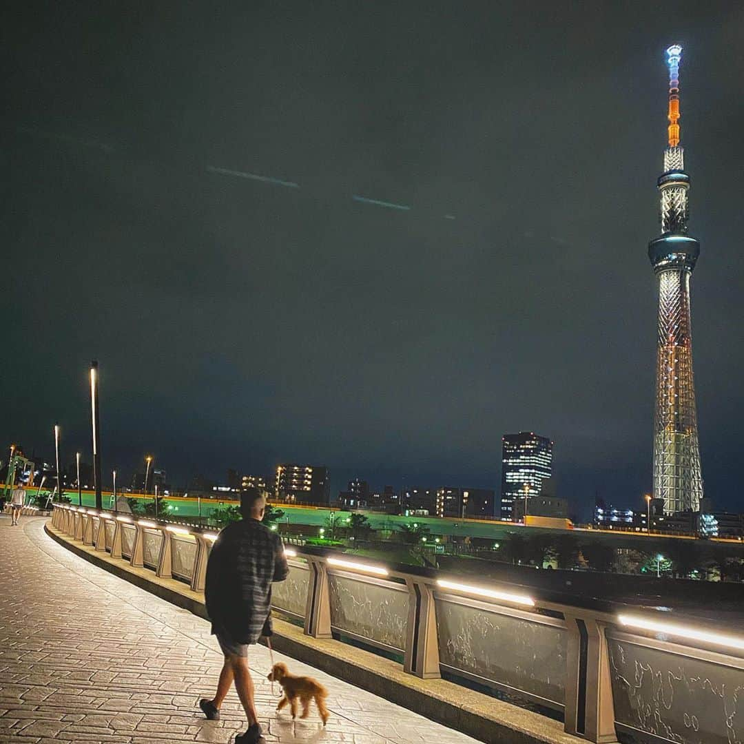 池田信太郎のインスタグラム：「10月24日は国連デー🇺🇳 持続可能な開発目標SDGsの17色にスカイツリーがライトアップされますよ、お見逃しなく！ #国連デー  #スカイツリー #持続可能性 #SDGs」