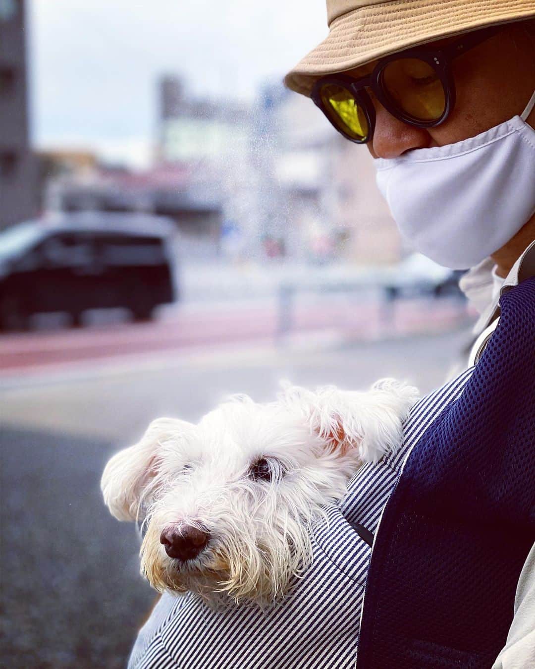 谷川じゅんじさんのインスタグラム写真 - (谷川じゅんじInstagram)「She passed away.  R.I.P. Lann.  2005.11.25〜2020.10.22  14年と11ヶ月。風のように生きて風のように逝きました。本当に気高く美しい生き様を教えられました。ランありがとう。いつか虹の橋で会おうね。#mutsulann #mutsulannsora #loveyoualways」10月22日 22時10分 - junjitanigawa
