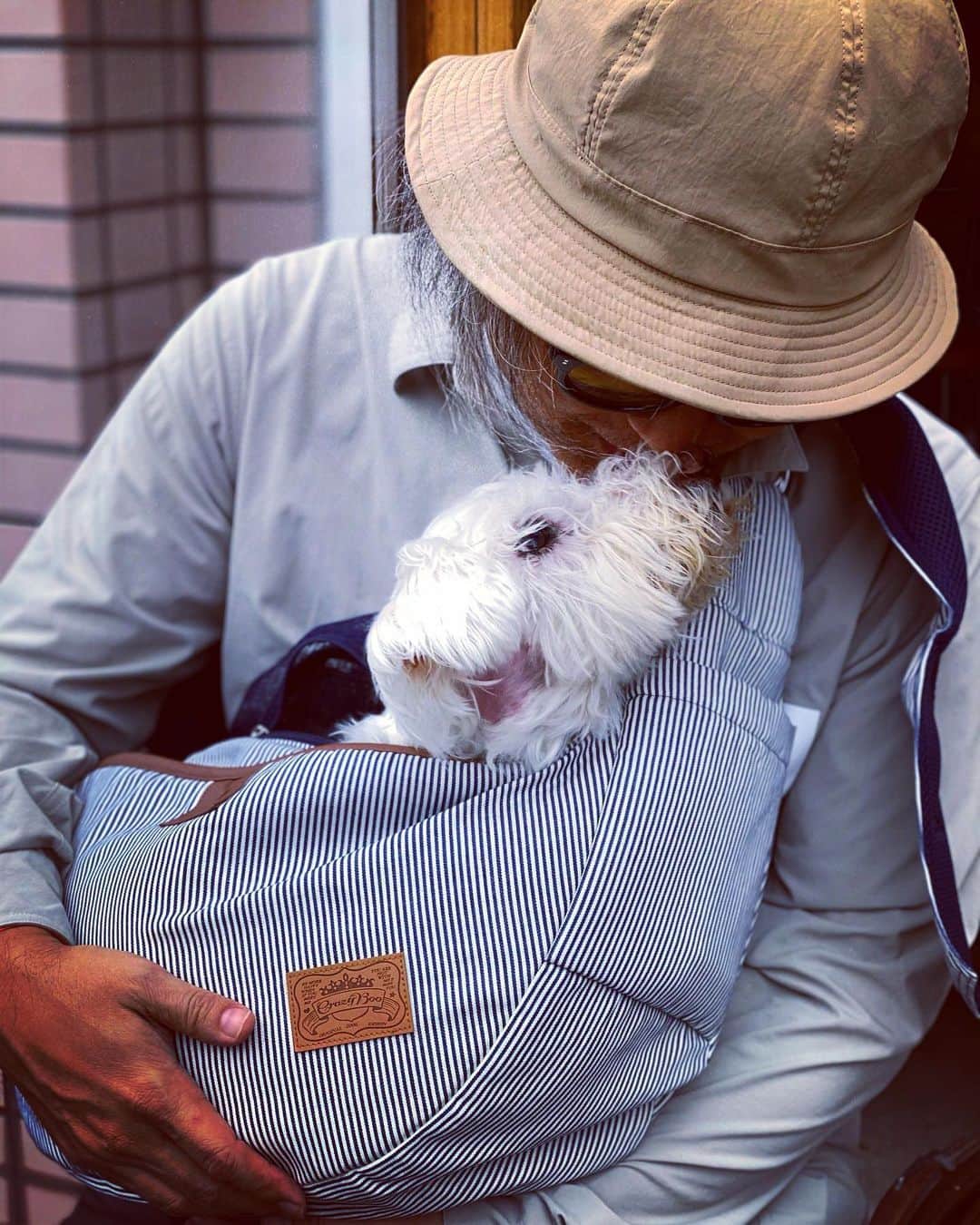谷川じゅんじさんのインスタグラム写真 - (谷川じゅんじInstagram)「She passed away.  R.I.P. Lann.  2005.11.25〜2020.10.22  14年と11ヶ月。風のように生きて風のように逝きました。本当に気高く美しい生き様を教えられました。ランありがとう。いつか虹の橋で会おうね。#mutsulann #mutsulannsora #loveyoualways」10月22日 22時10分 - junjitanigawa